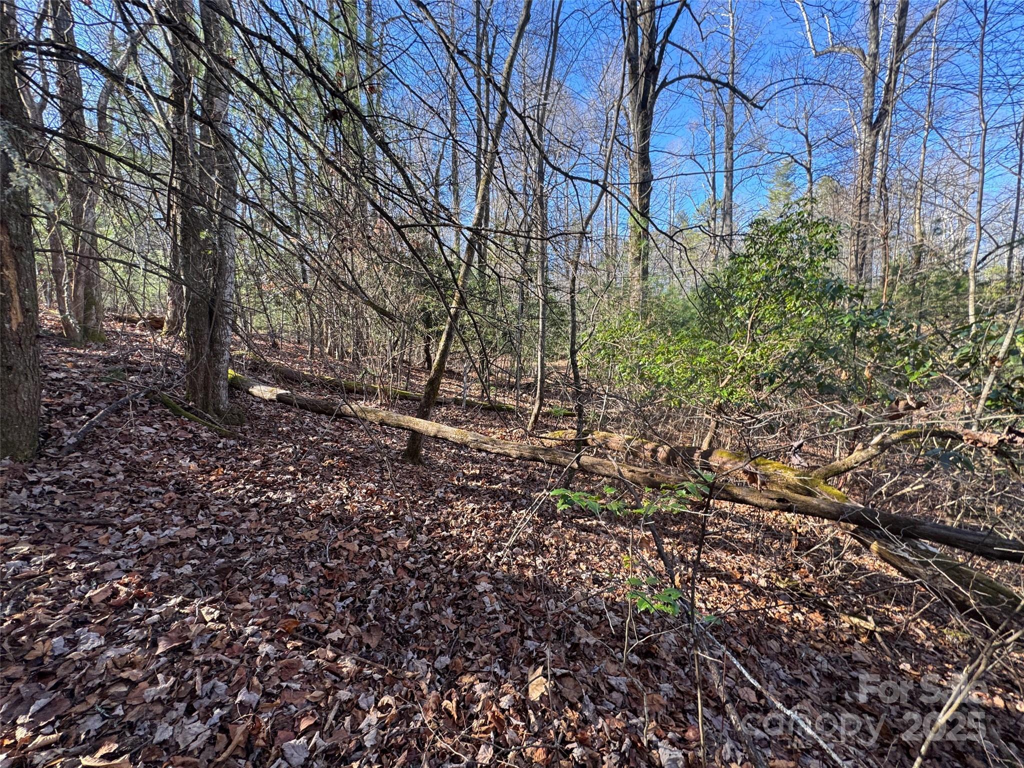 000 Small Creek Road