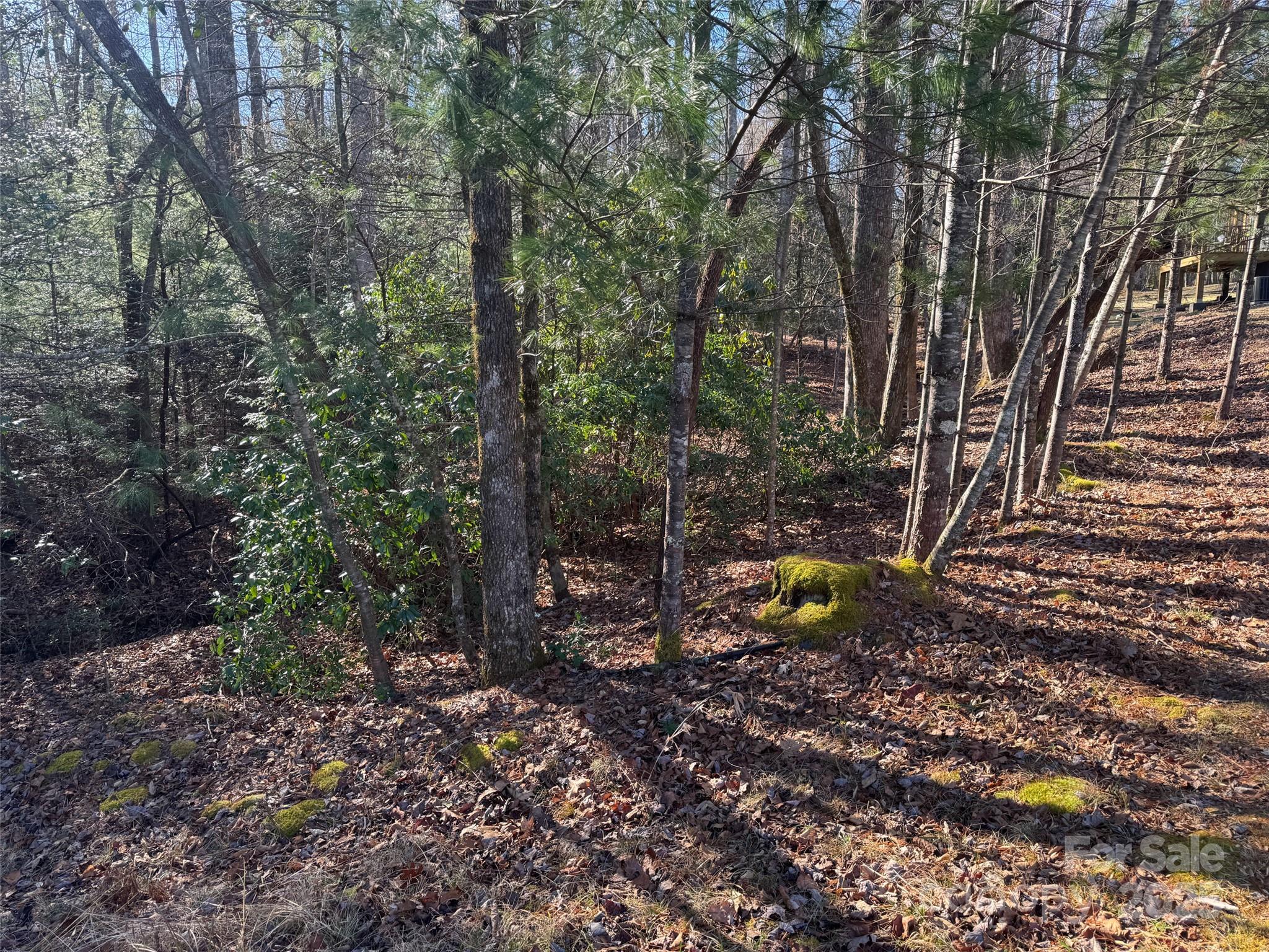 000 Small Creek Road