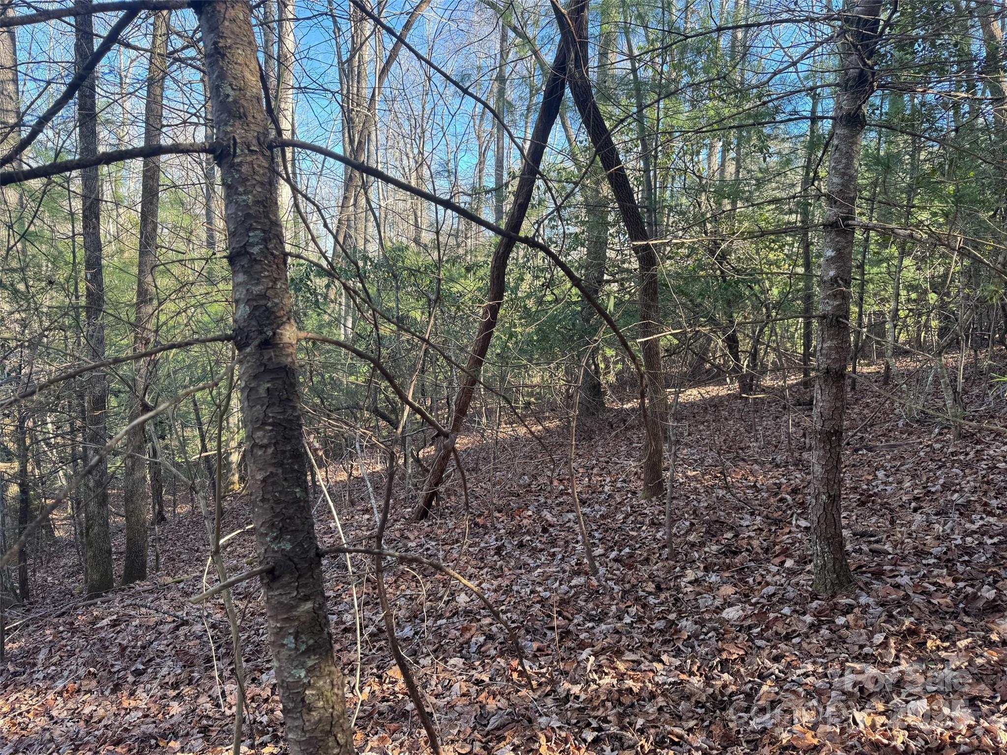 000 Small Creek Road