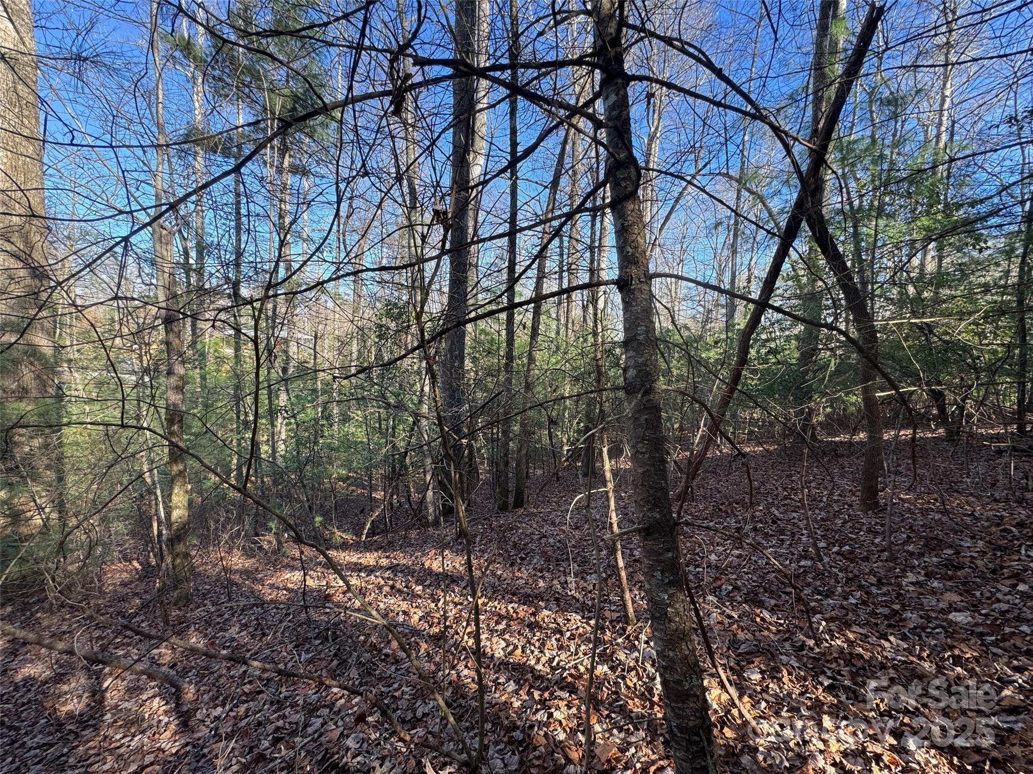 000 Small Creek Road