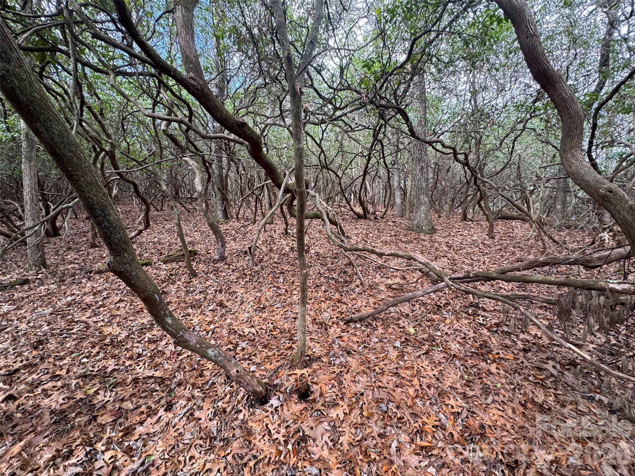 000 Falls Creek Court