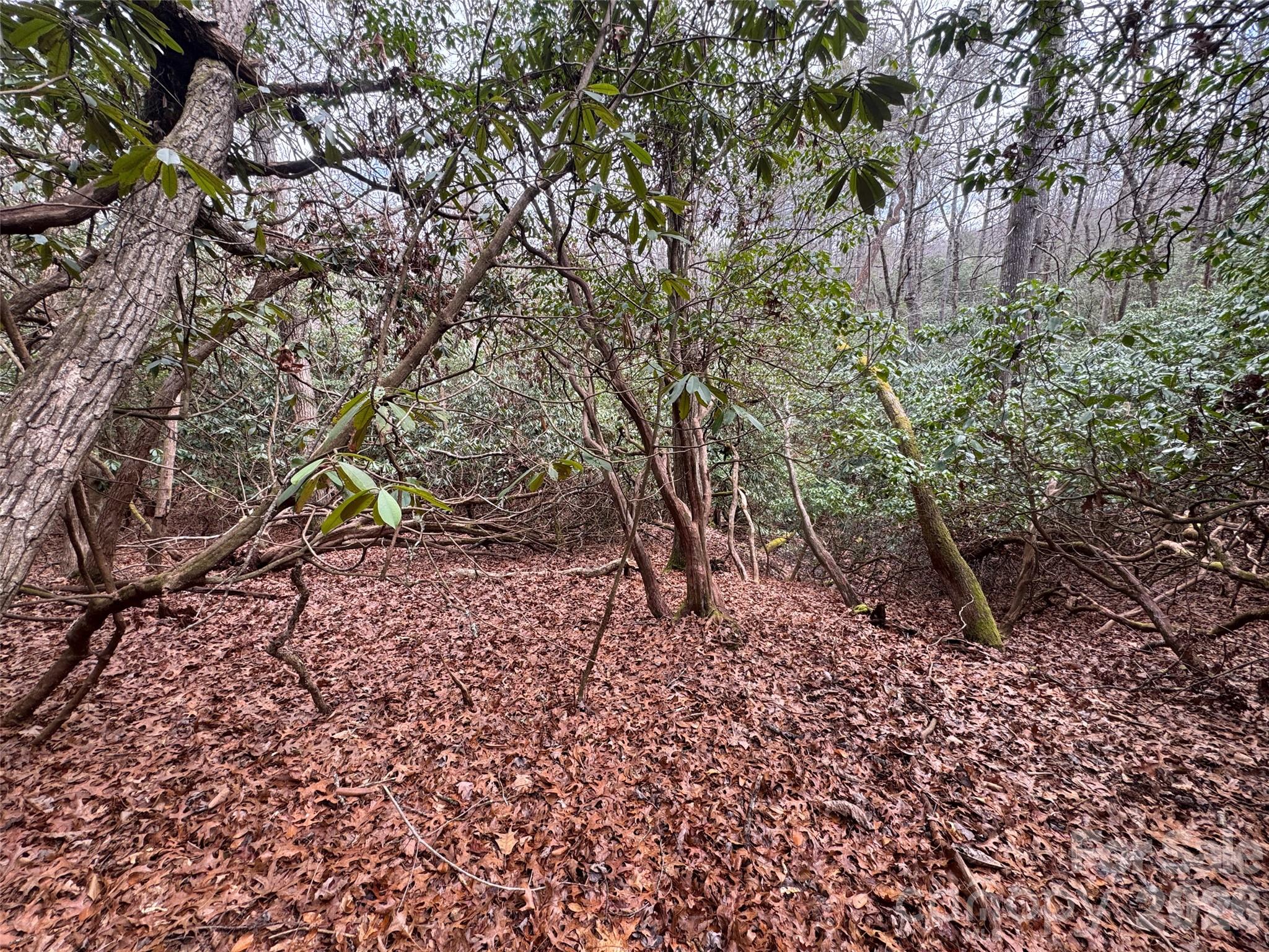 000 Falls Creek Court