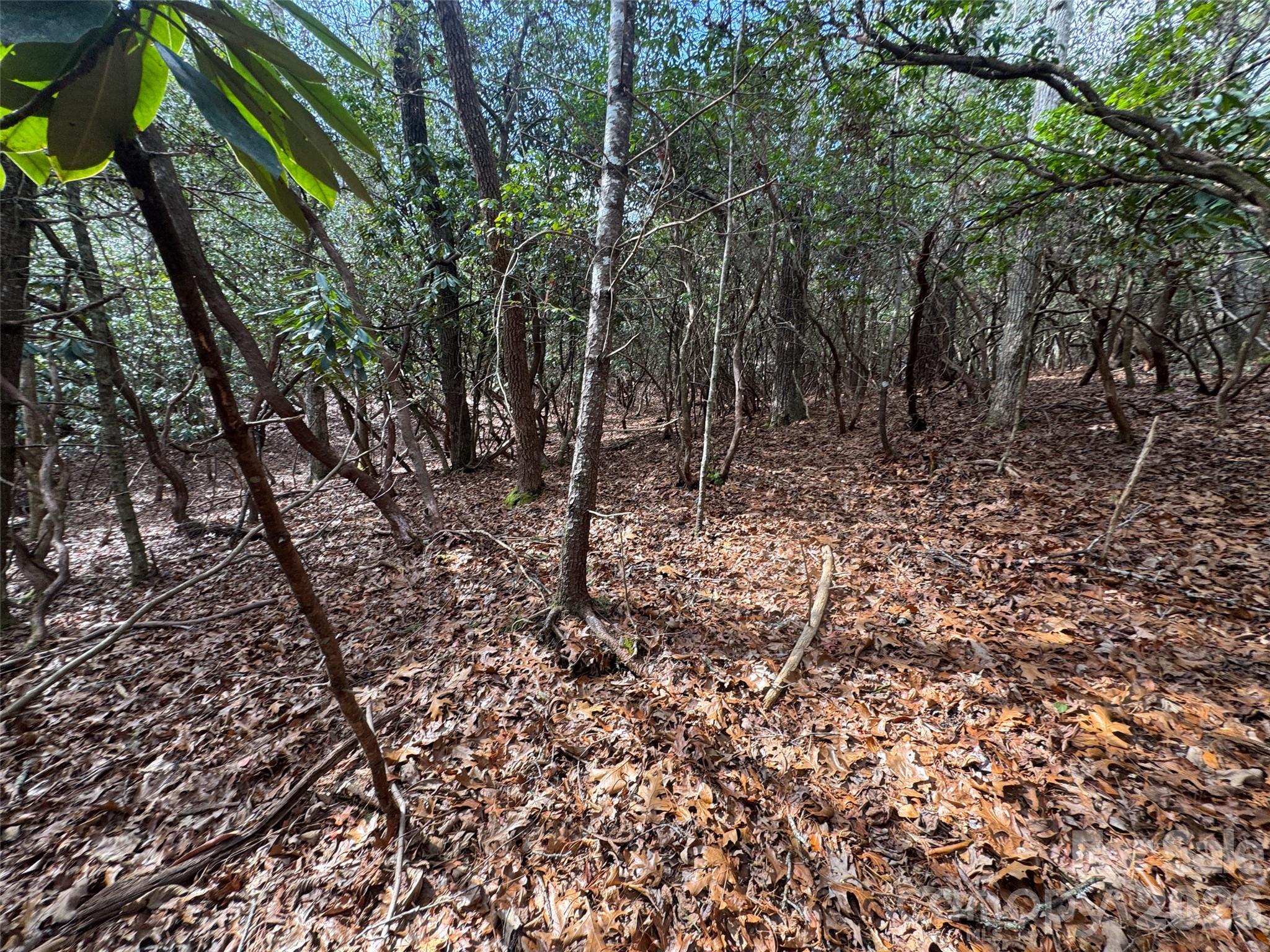 000 Falls Creek Court