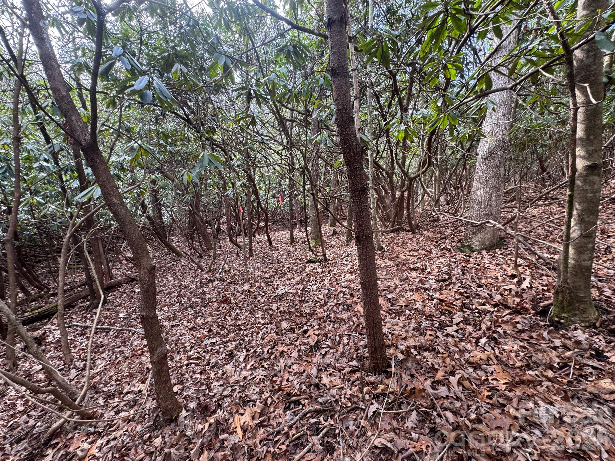 000 Falls Creek Court