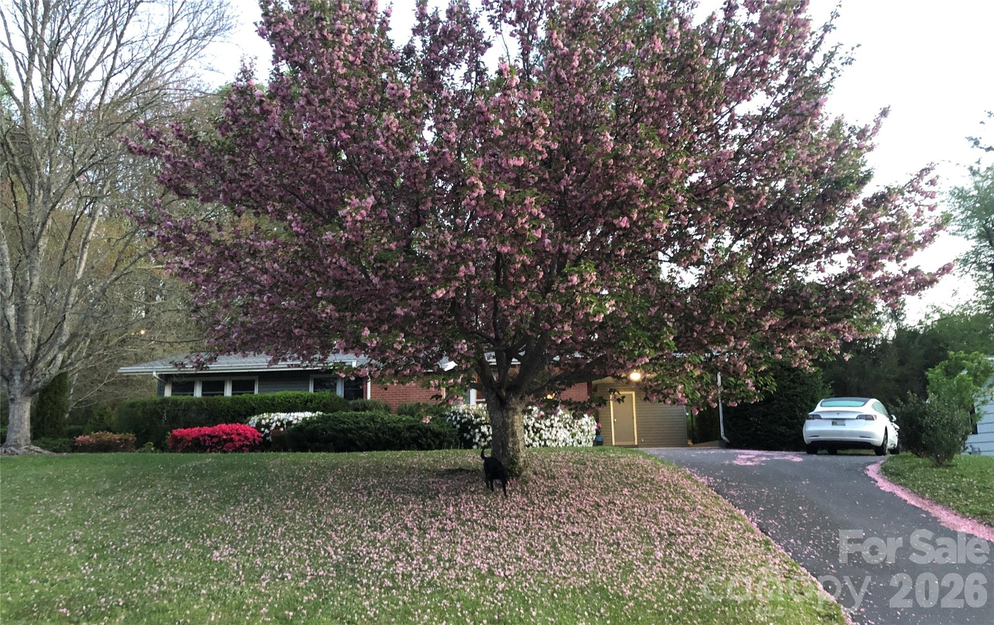 317 Allison Road