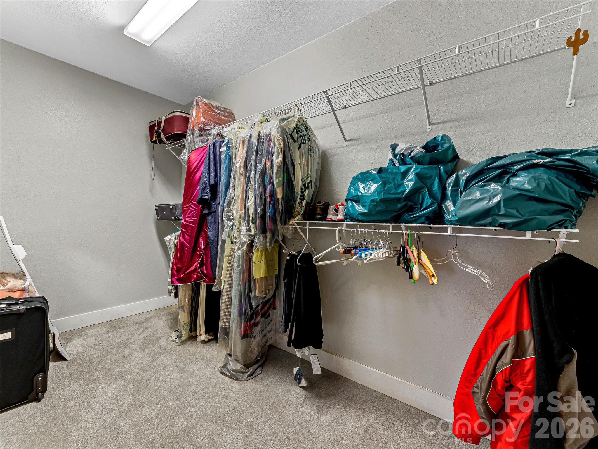 130 Cross Vine Drive