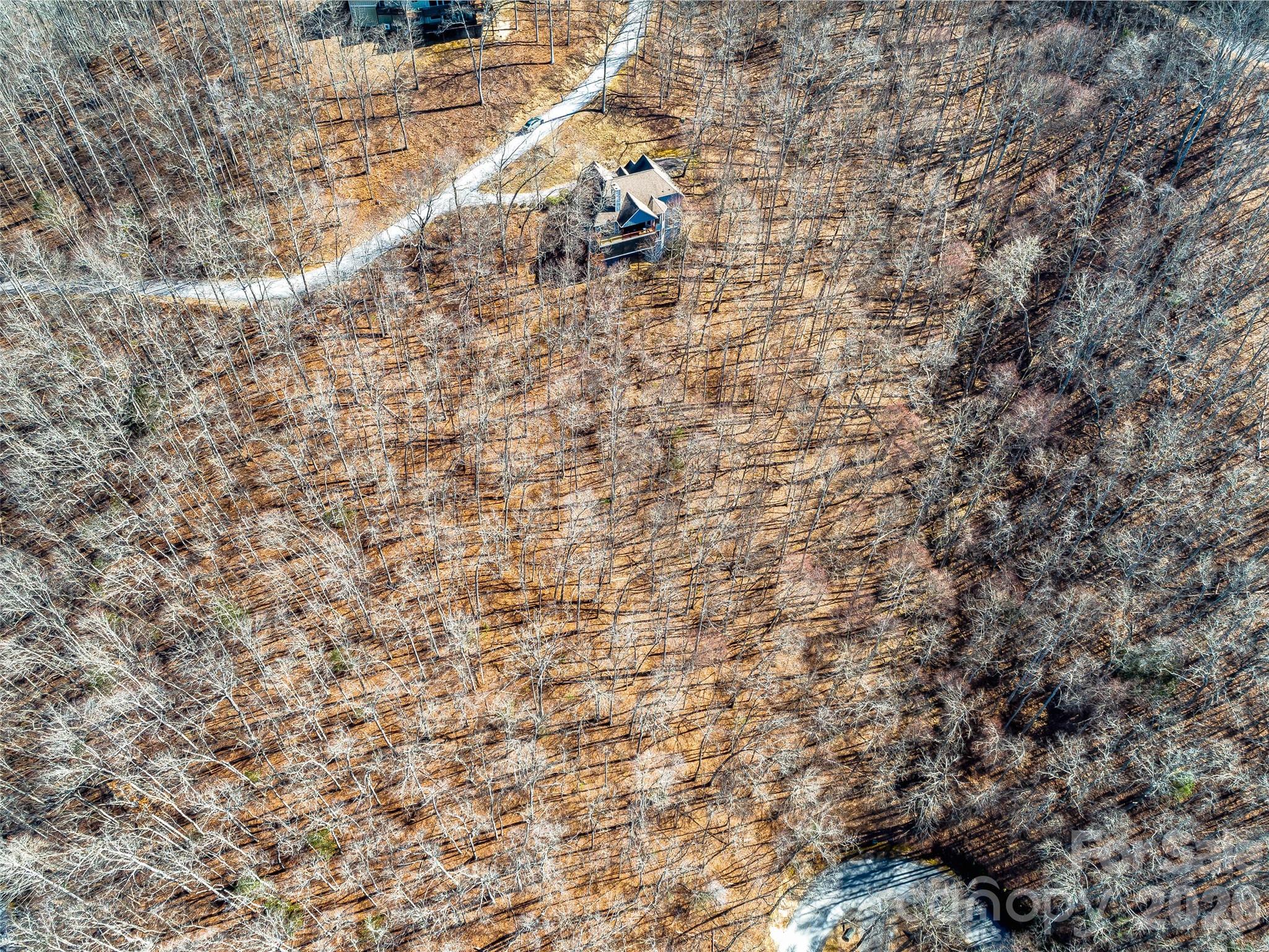 130 Cross Vine Drive