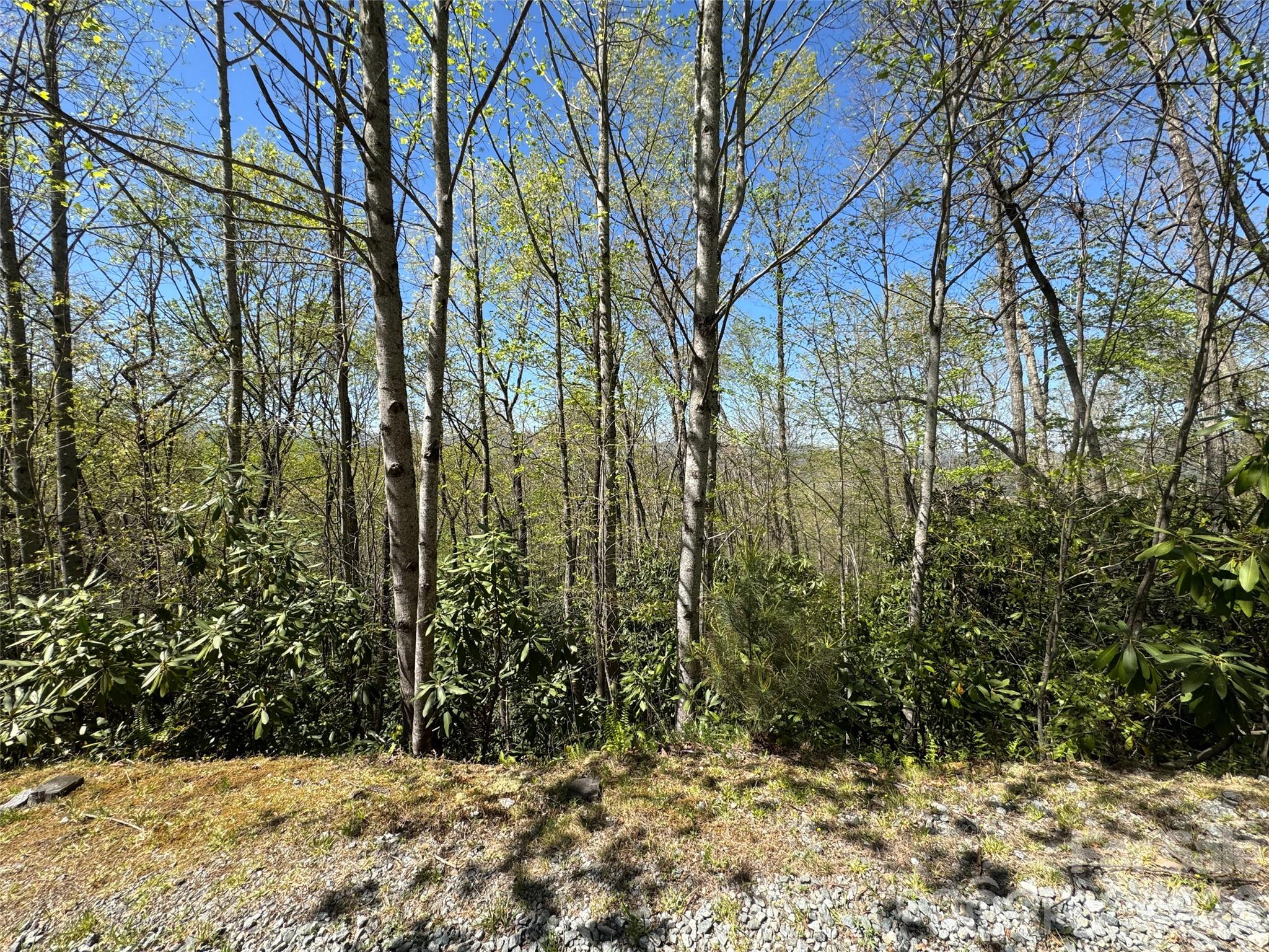 33 Reserve Road Unit: 33