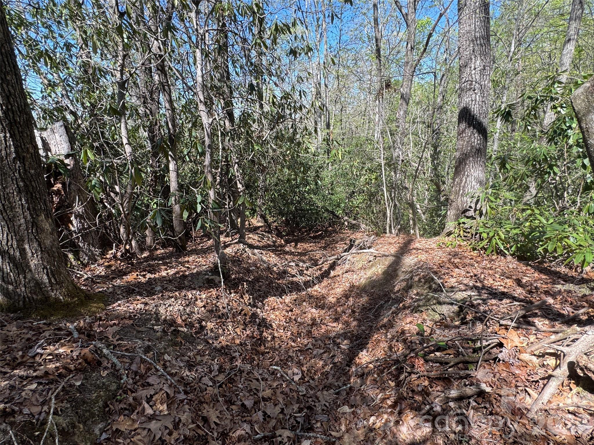 33 Reserve Road Unit: 33