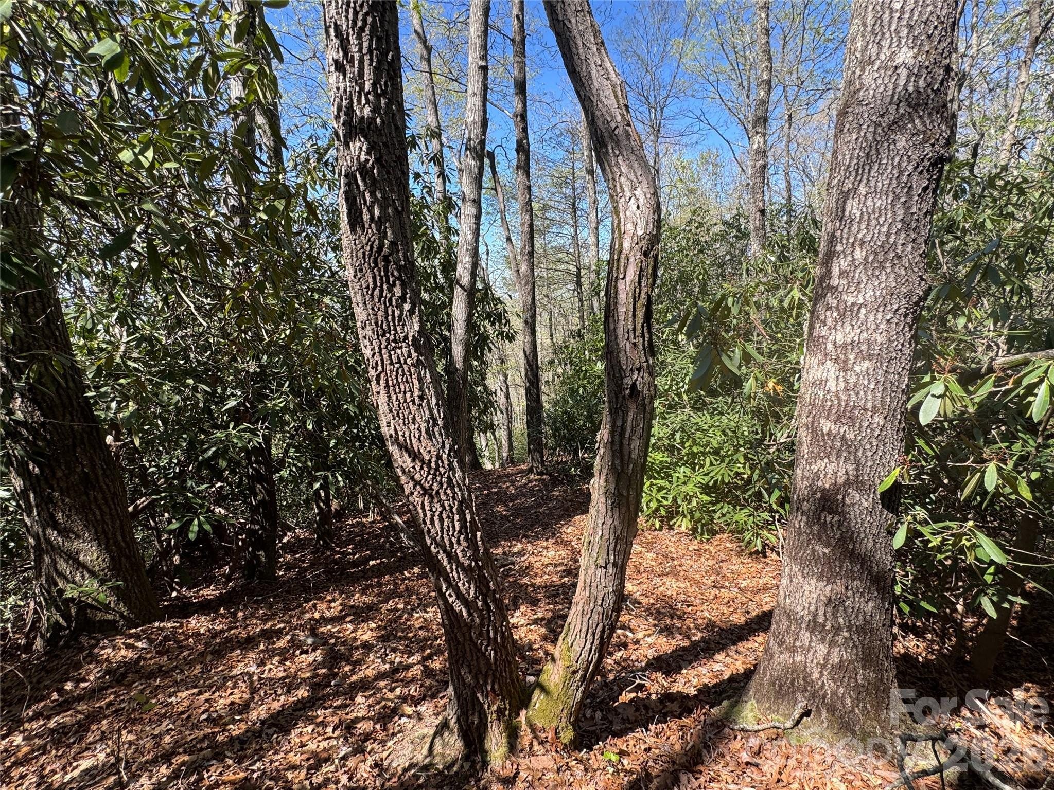 33 Reserve Road Unit: 33