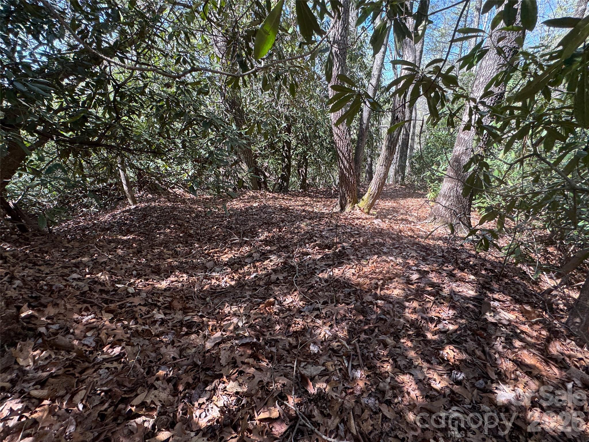 33 Reserve Road Unit: 33