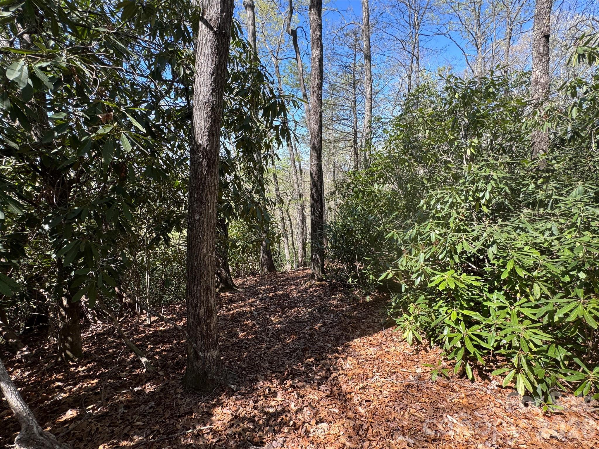 33 Reserve Road Unit: 33