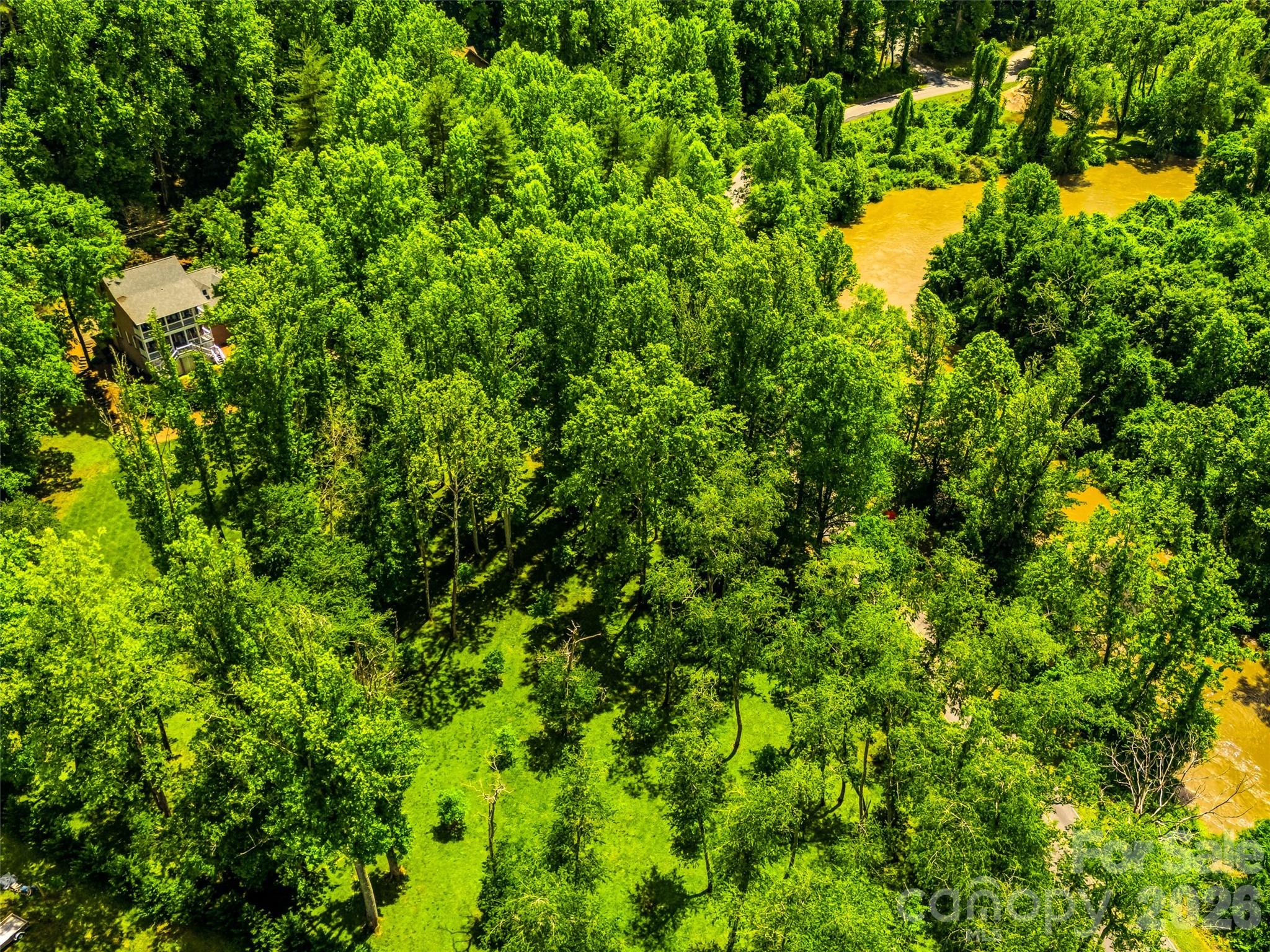 243 Poplar Lane