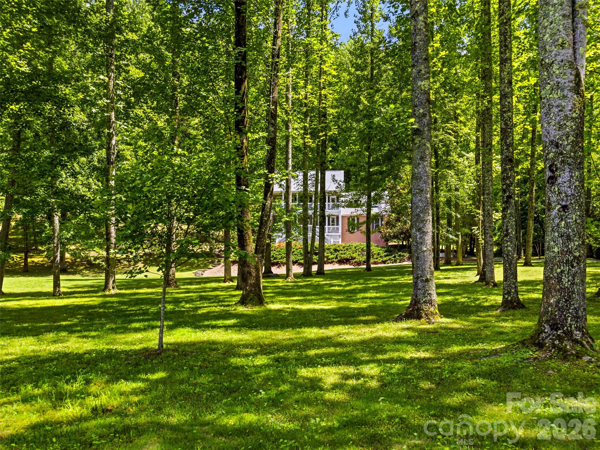 243 Poplar Lane