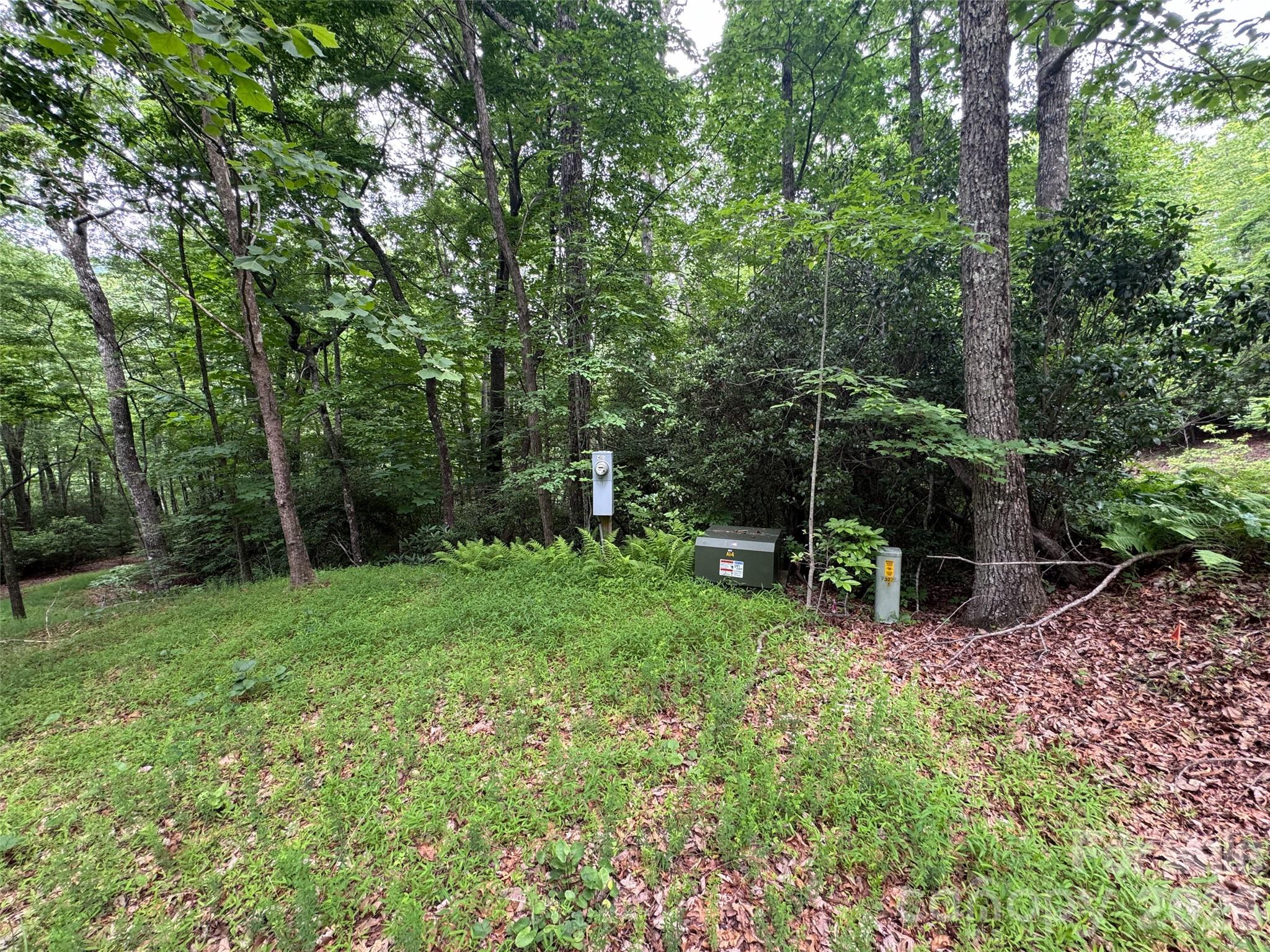 000 Chestnut Oak Lane