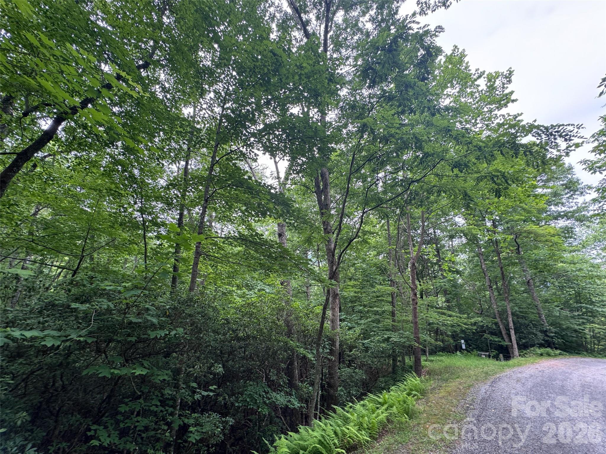 000 Chestnut Oak Lane