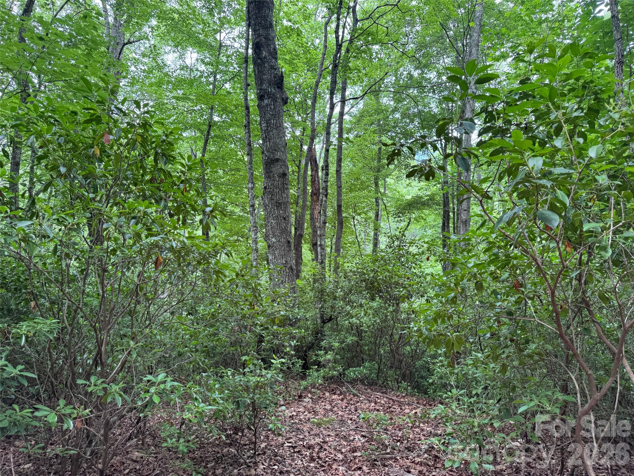 000 Chestnut Oak Lane