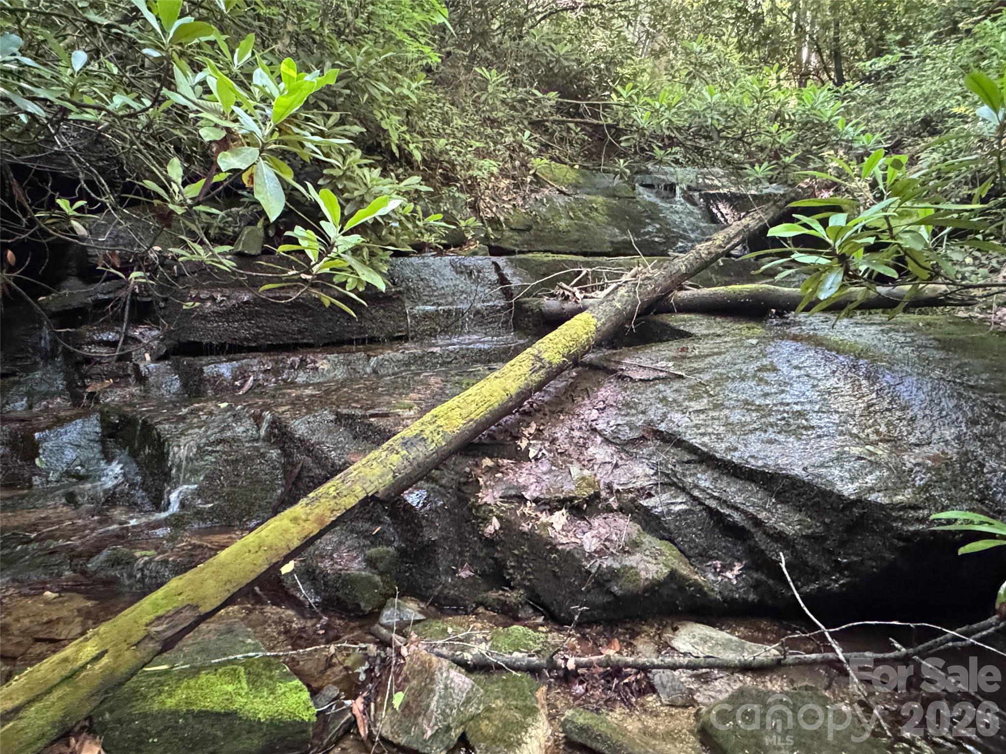 000 Chestnut Oak Lane