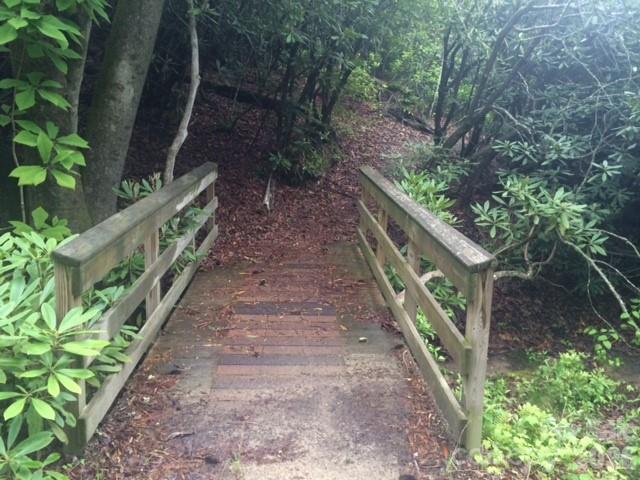 000 Chestnut Oak Lane
