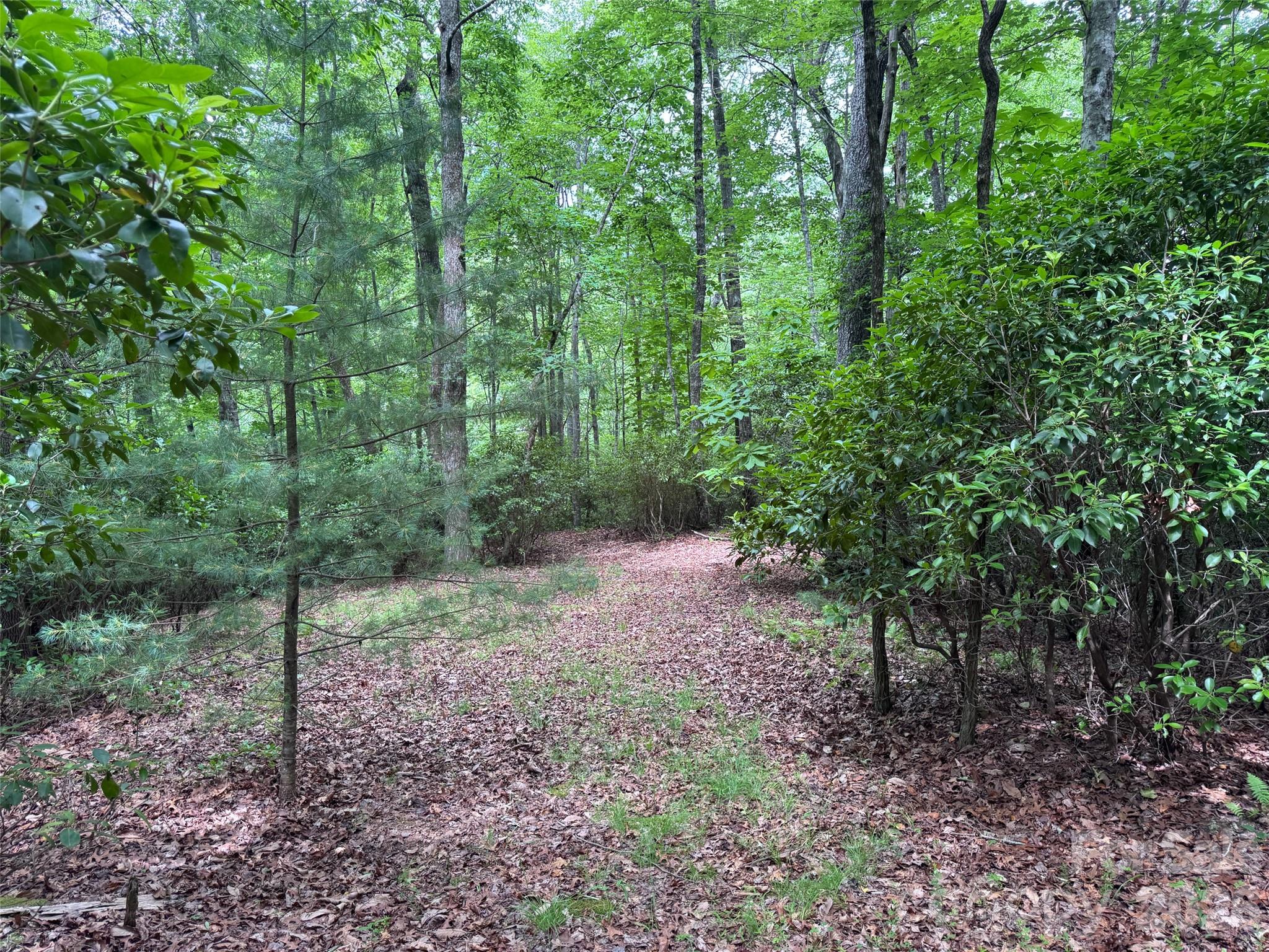 000 Chestnut Oak Lane