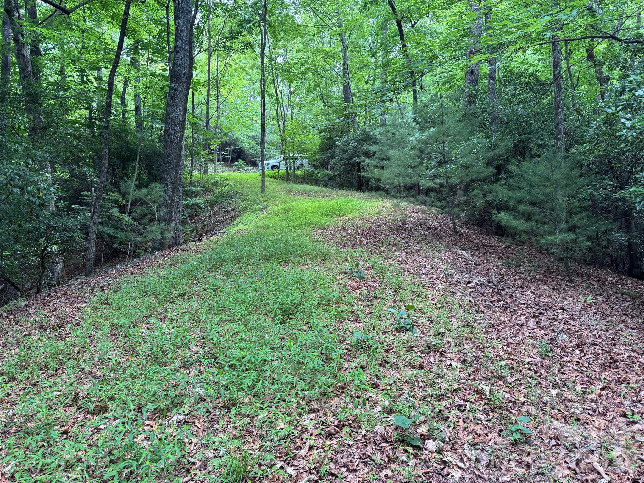 000 Chestnut Oak Lane