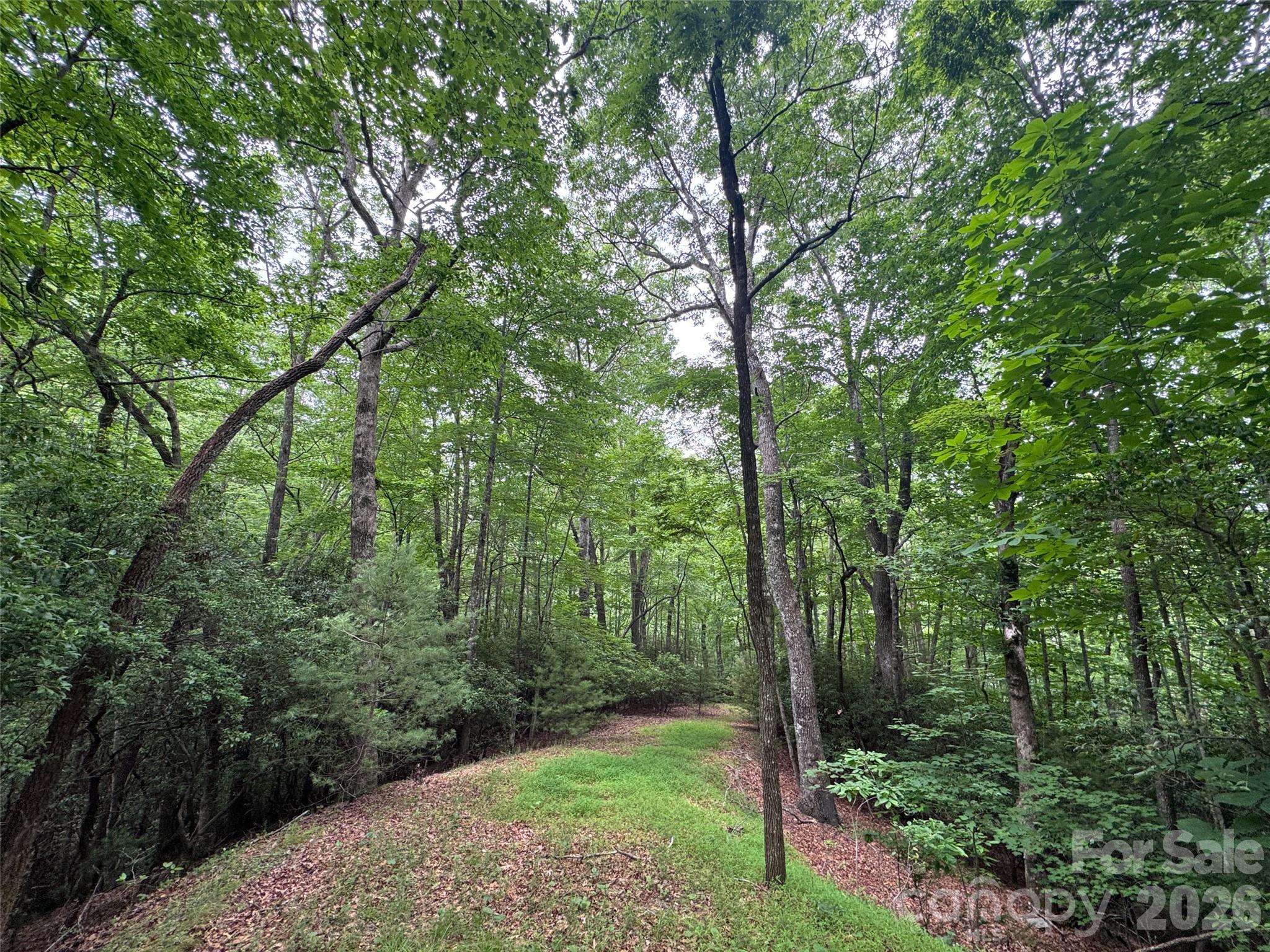 000 Chestnut Oak Lane
