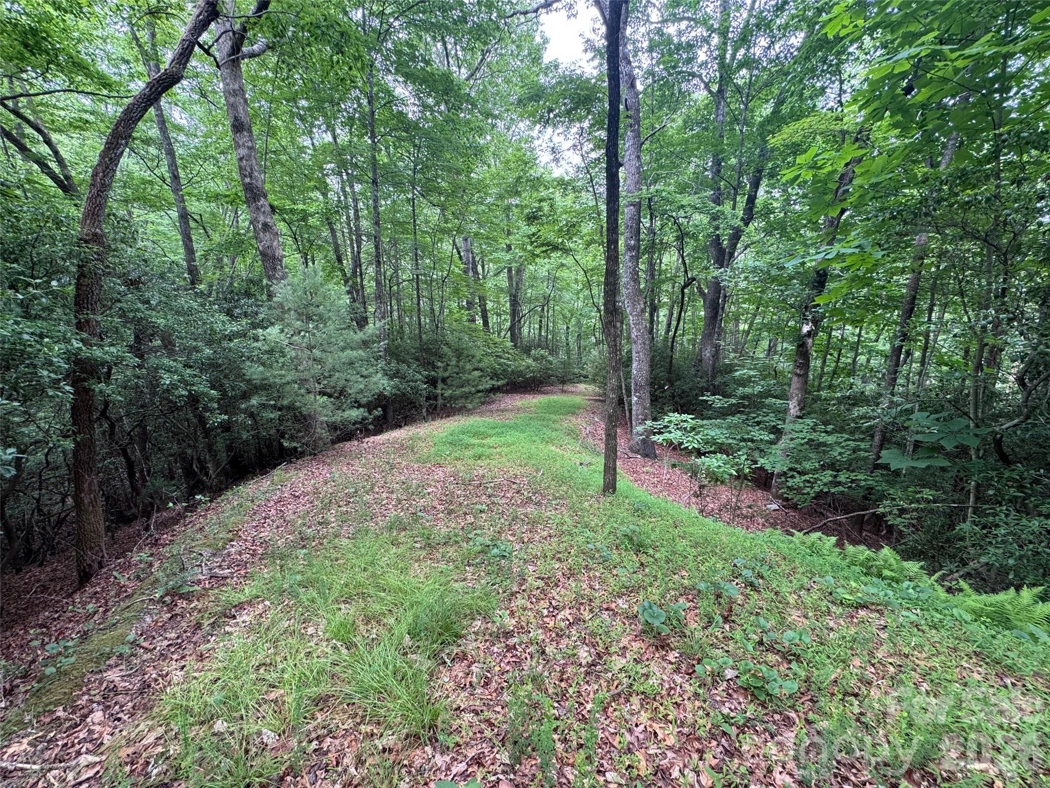 000 Chestnut Oak Lane