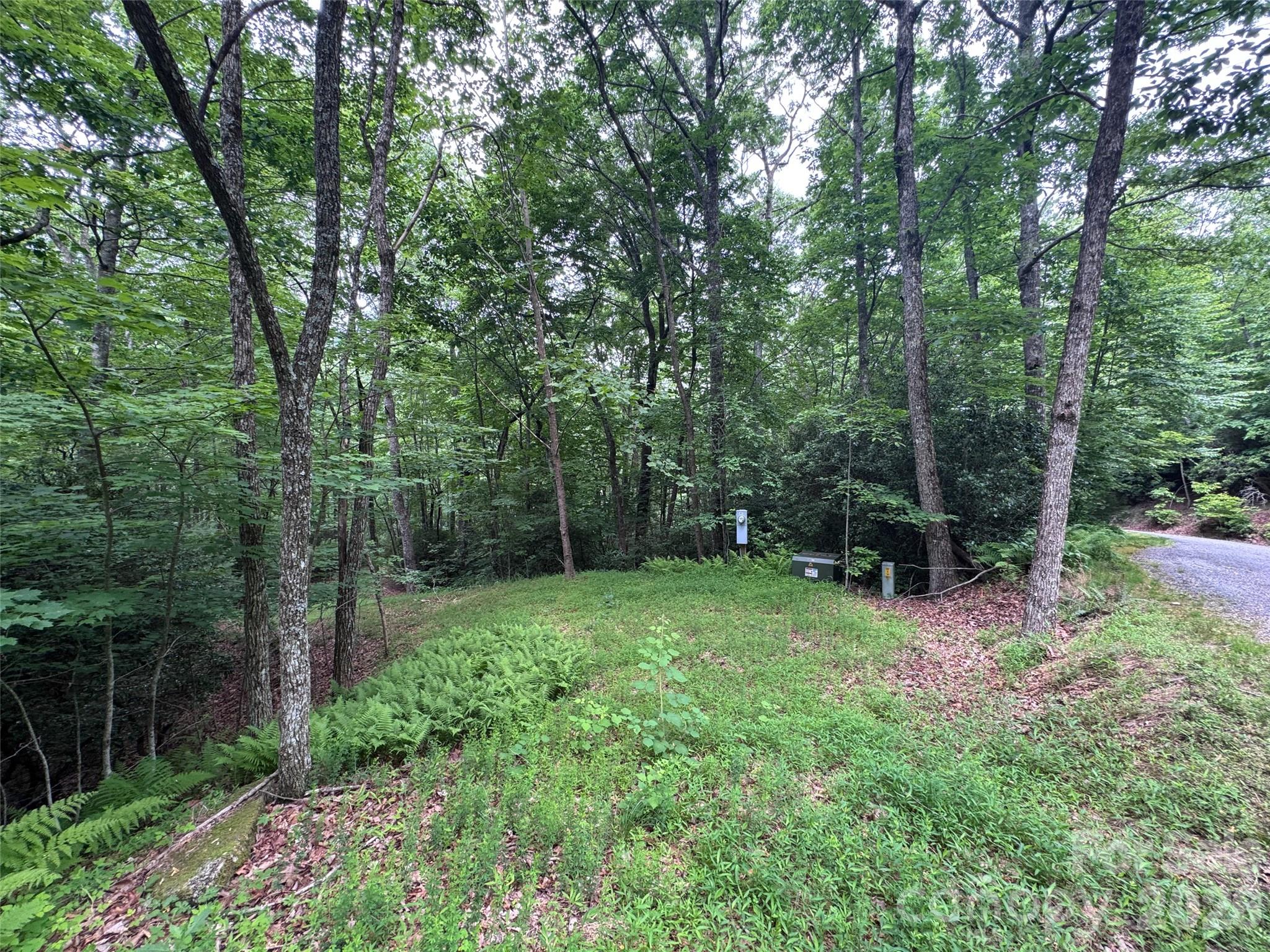 000 Chestnut Oak Lane