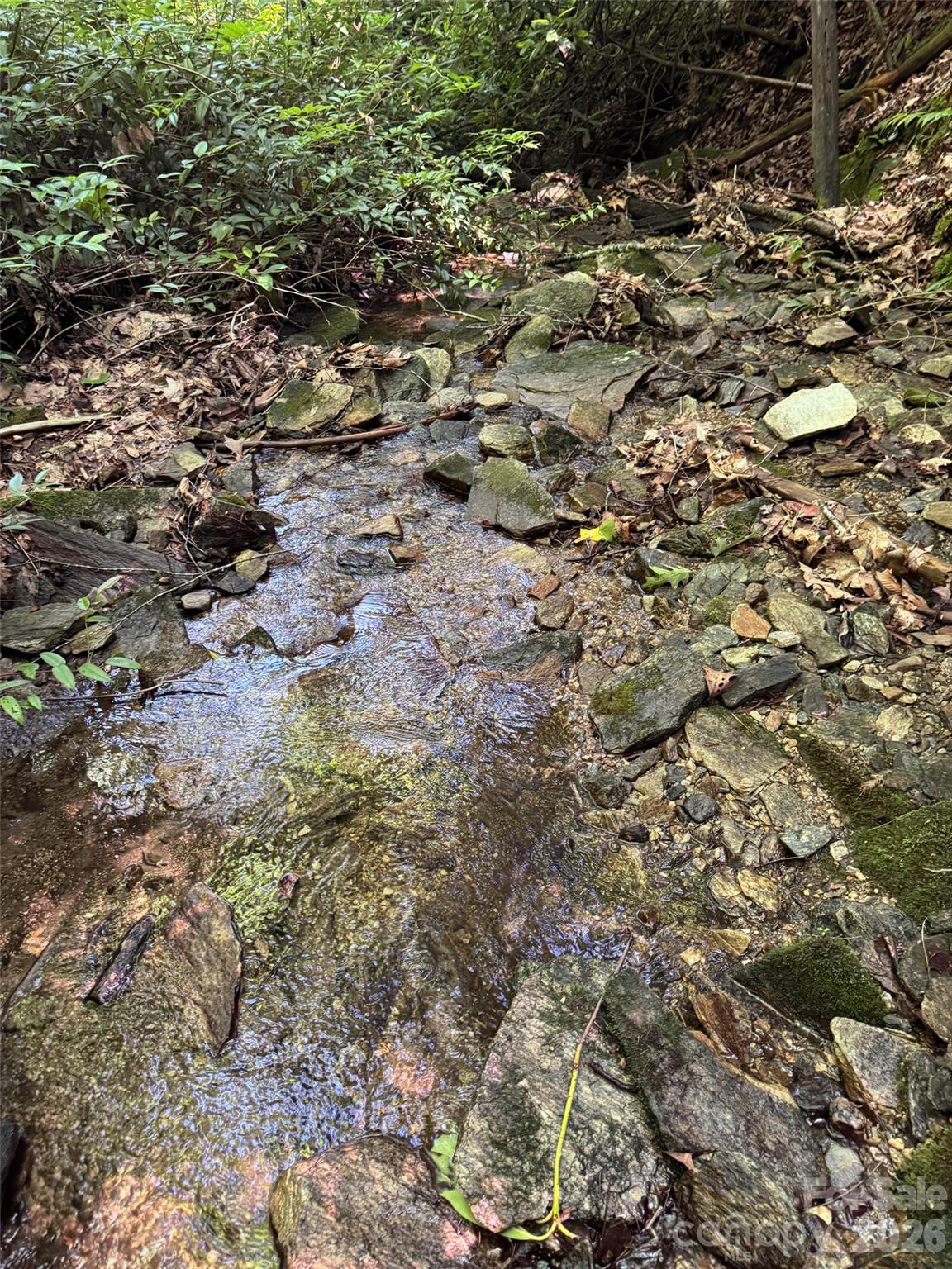 000 Chestnut Oak Lane