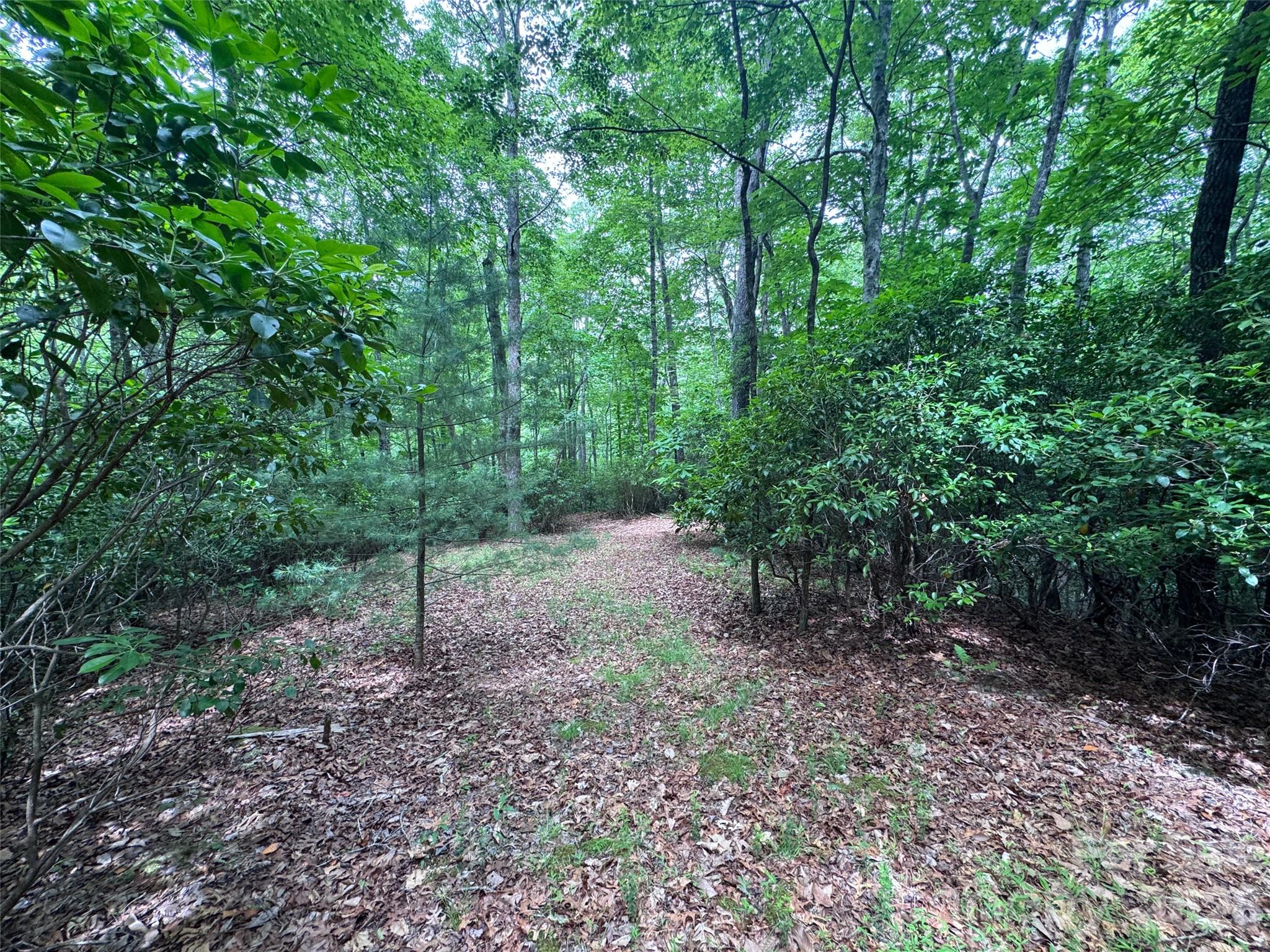 000 Chestnut Oak Lane