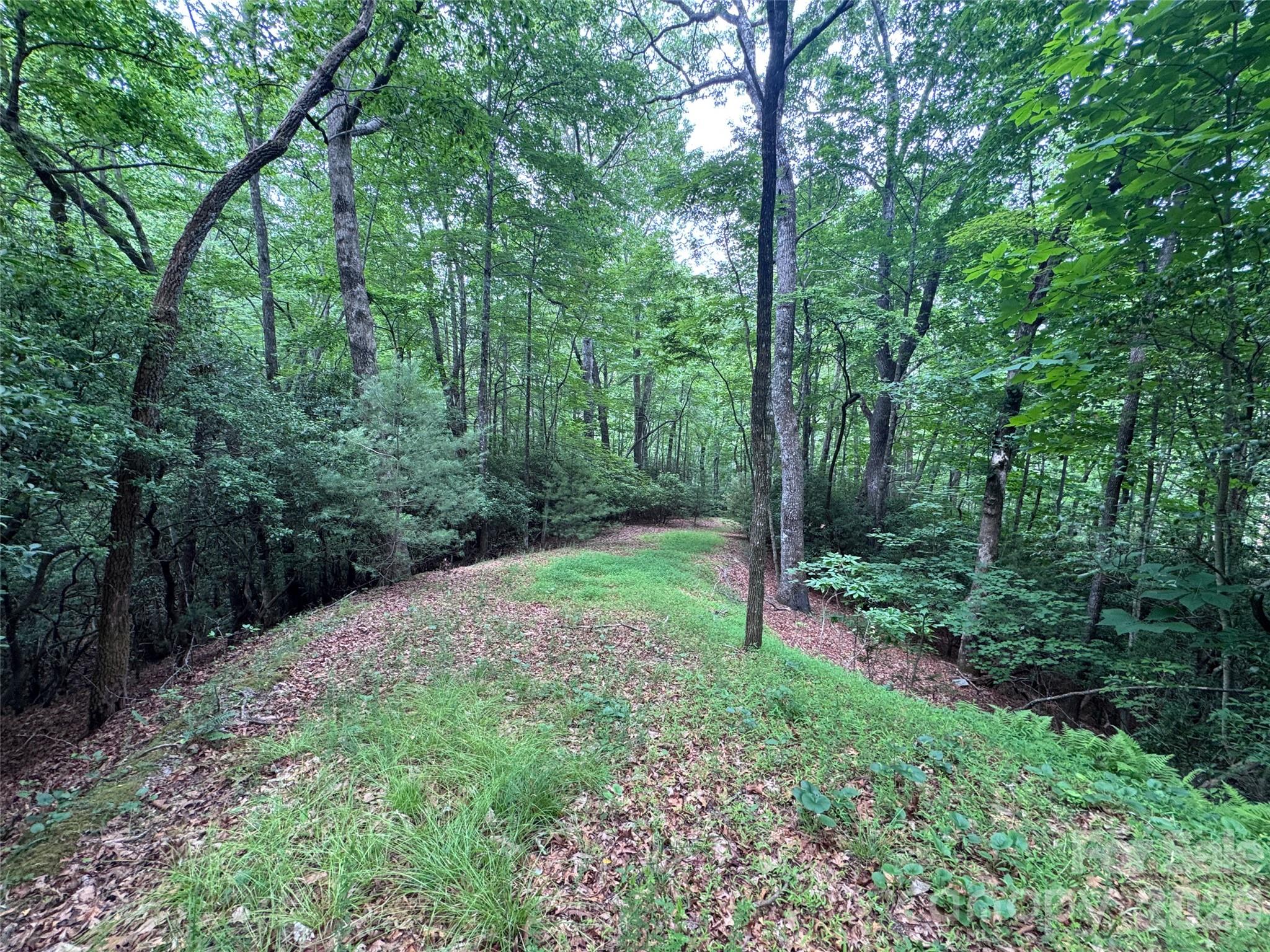 000 Chestnut Oak Lane