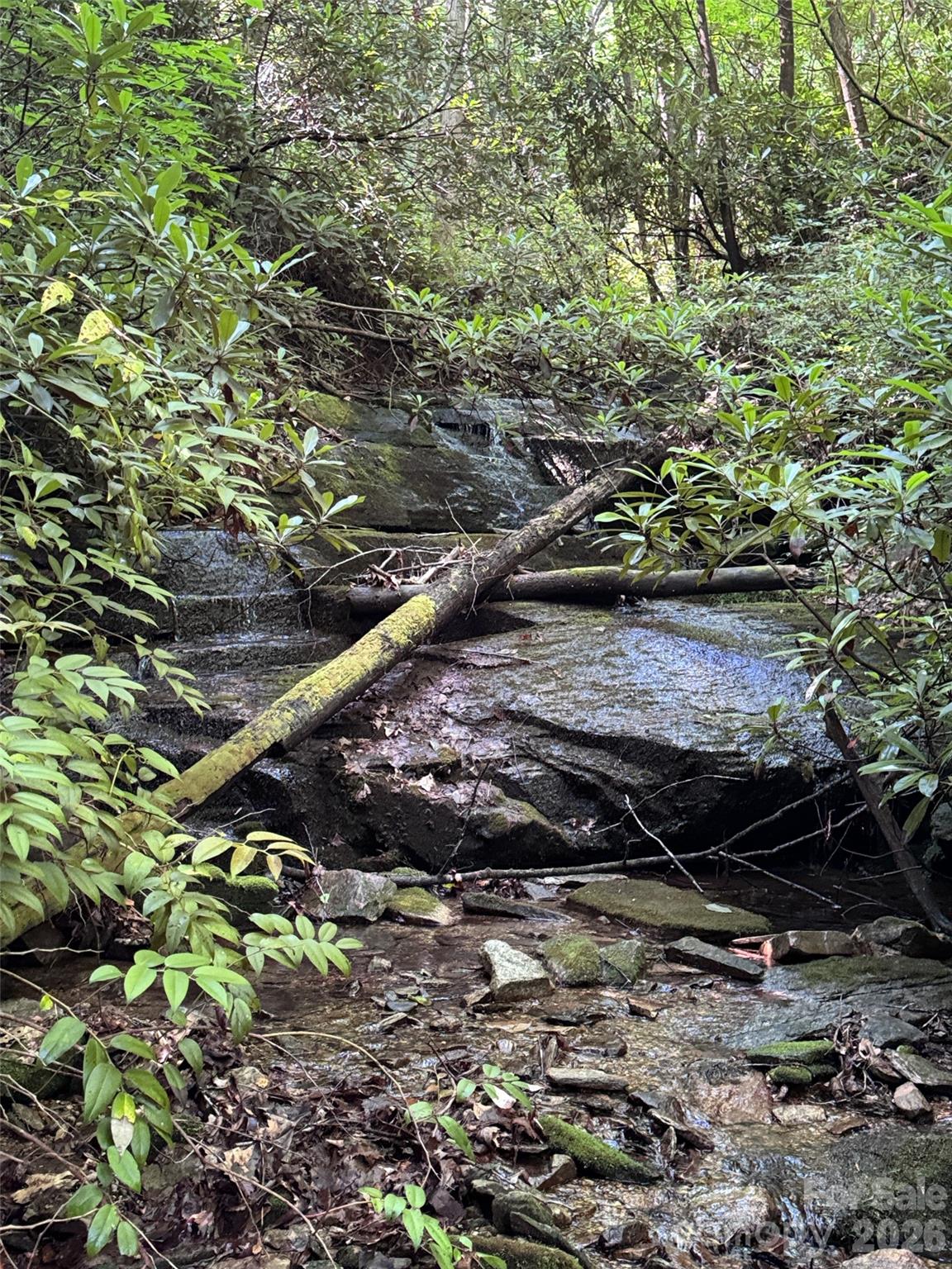 000 Chestnut Oak Lane