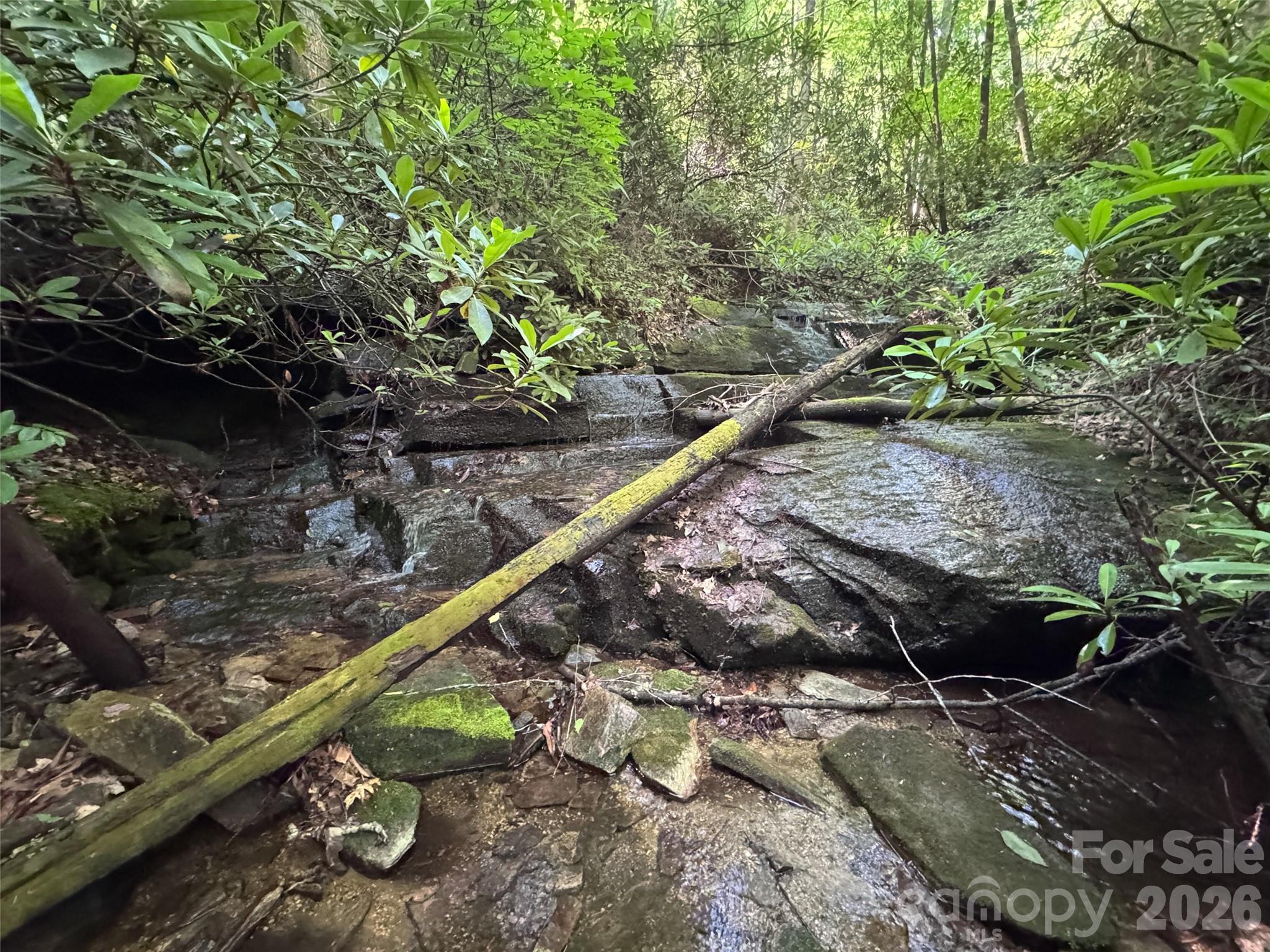 000 Chestnut Oak Lane