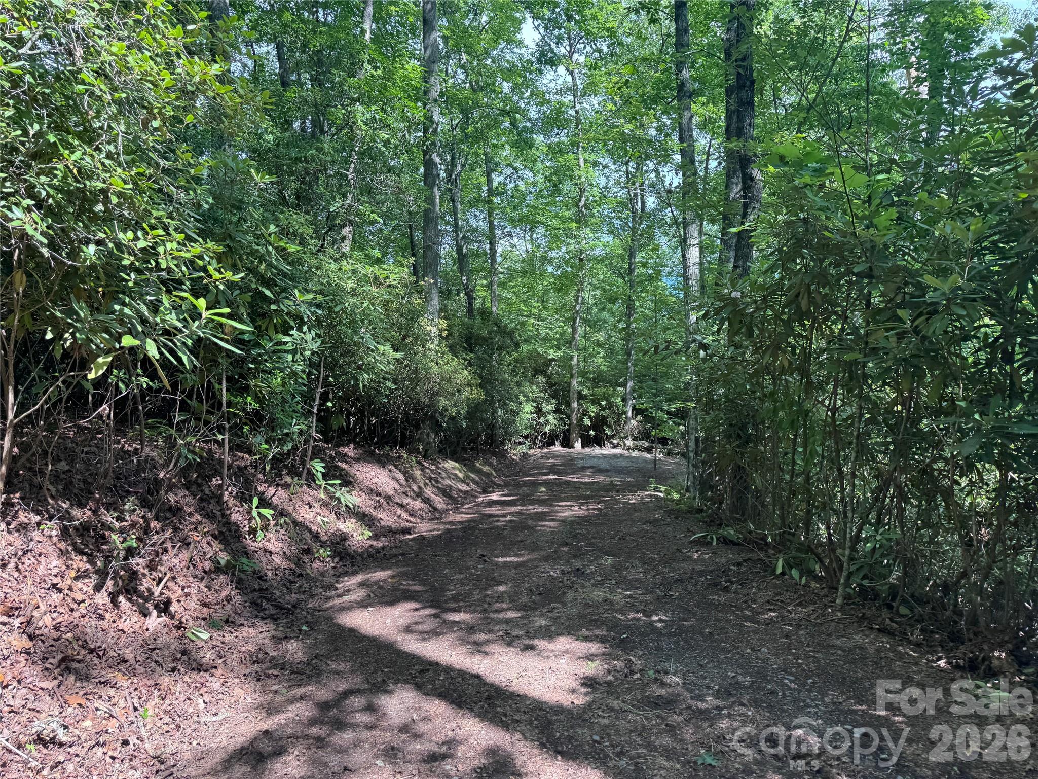 10A Reserve Road