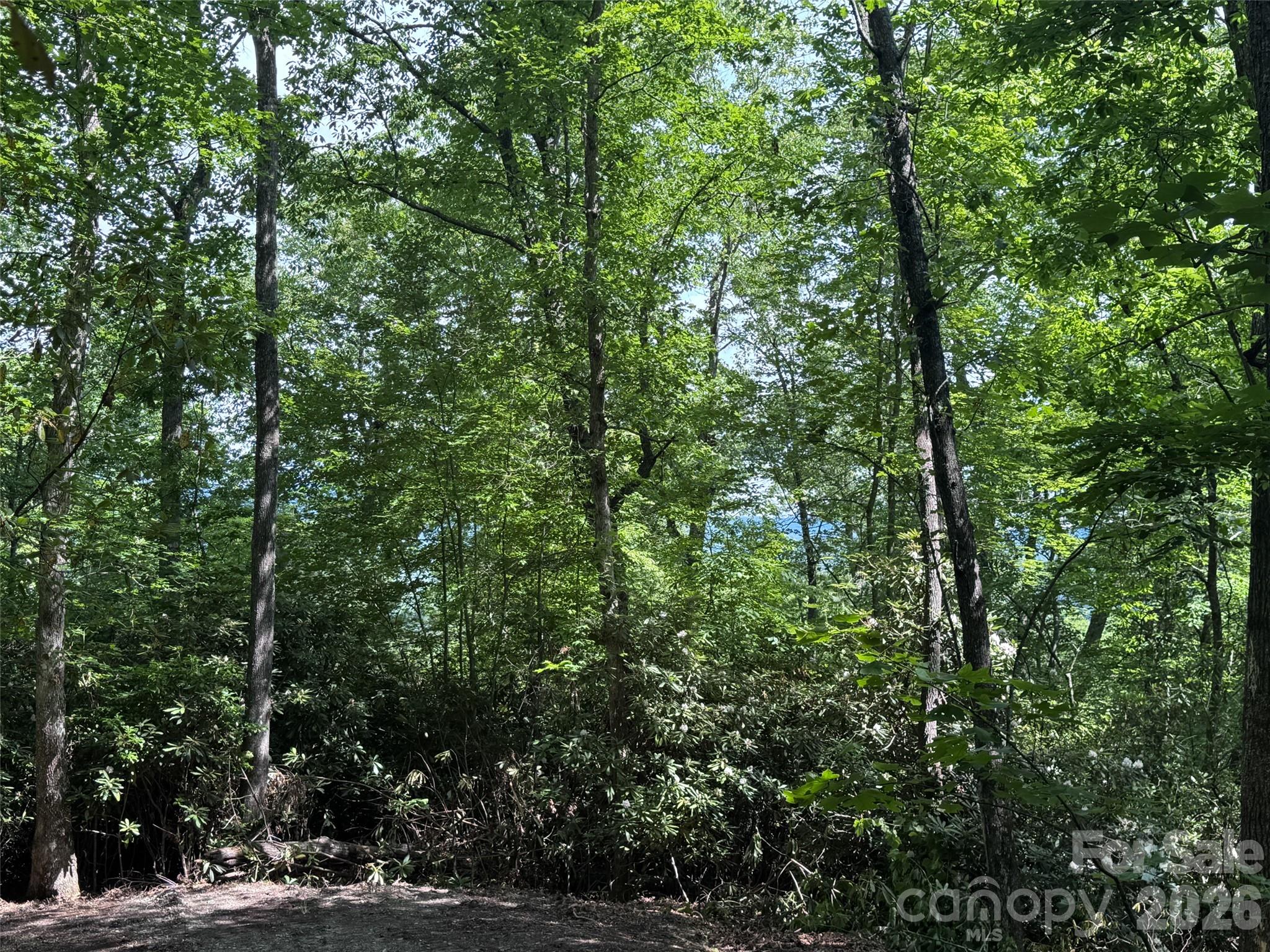 10A Reserve Road