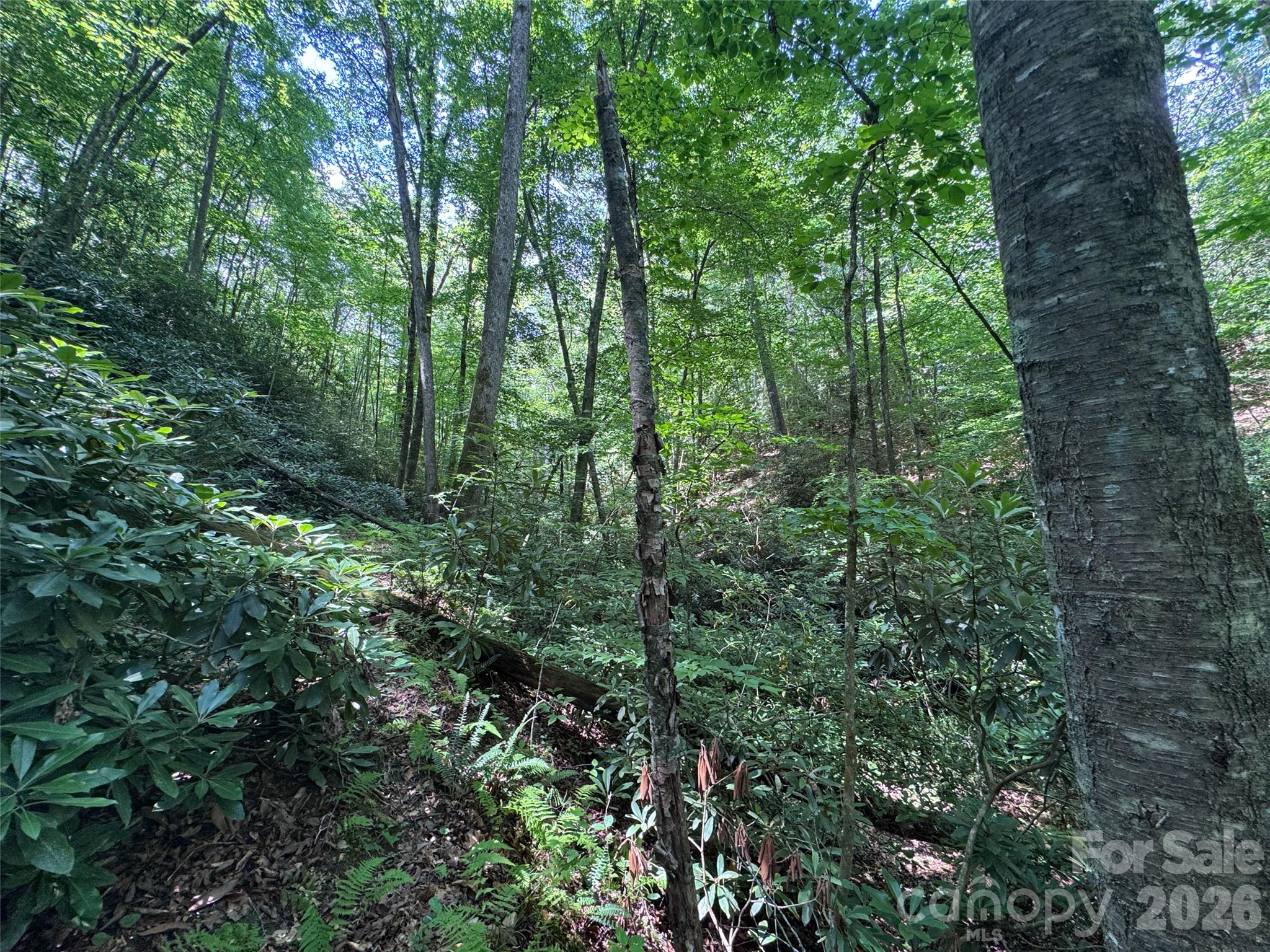 10A Reserve Road