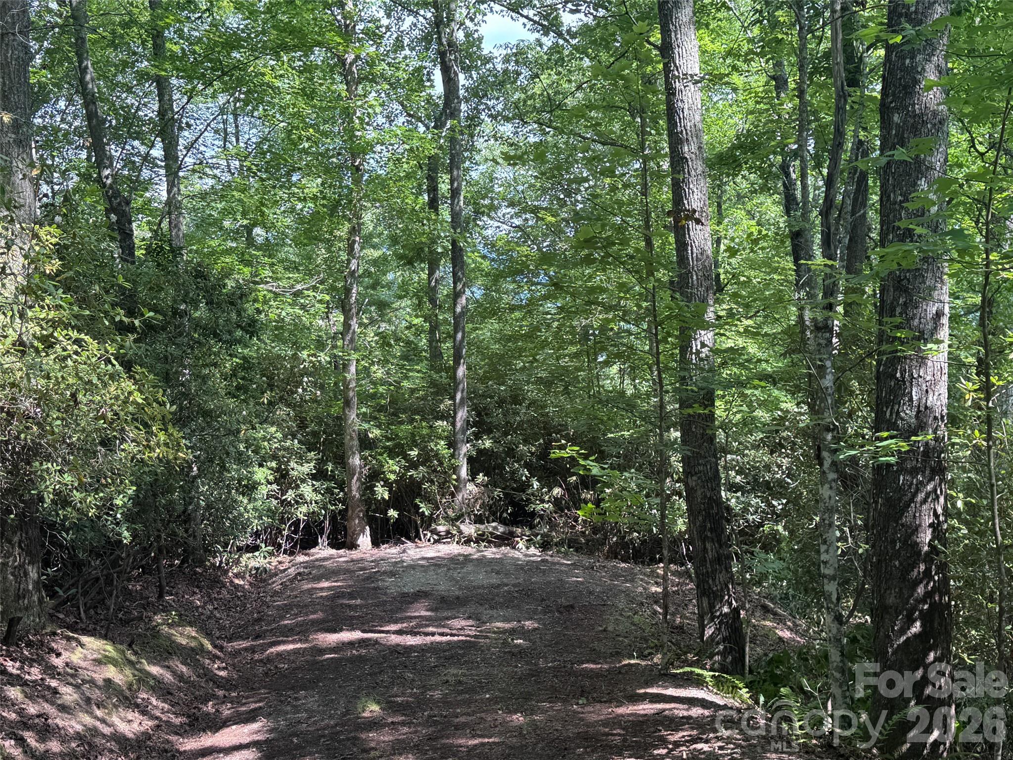 10A Reserve Road