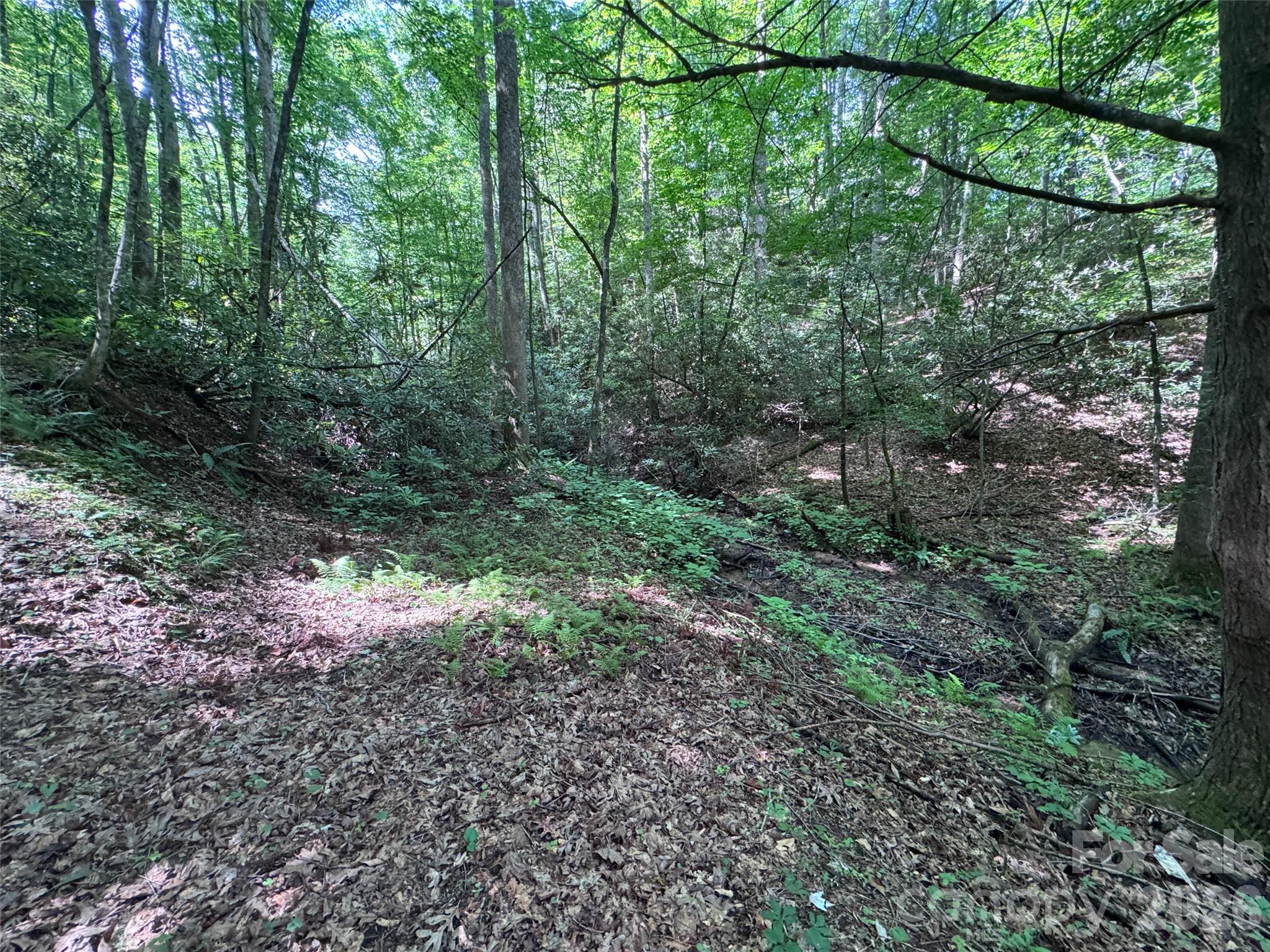 10A Reserve Road
