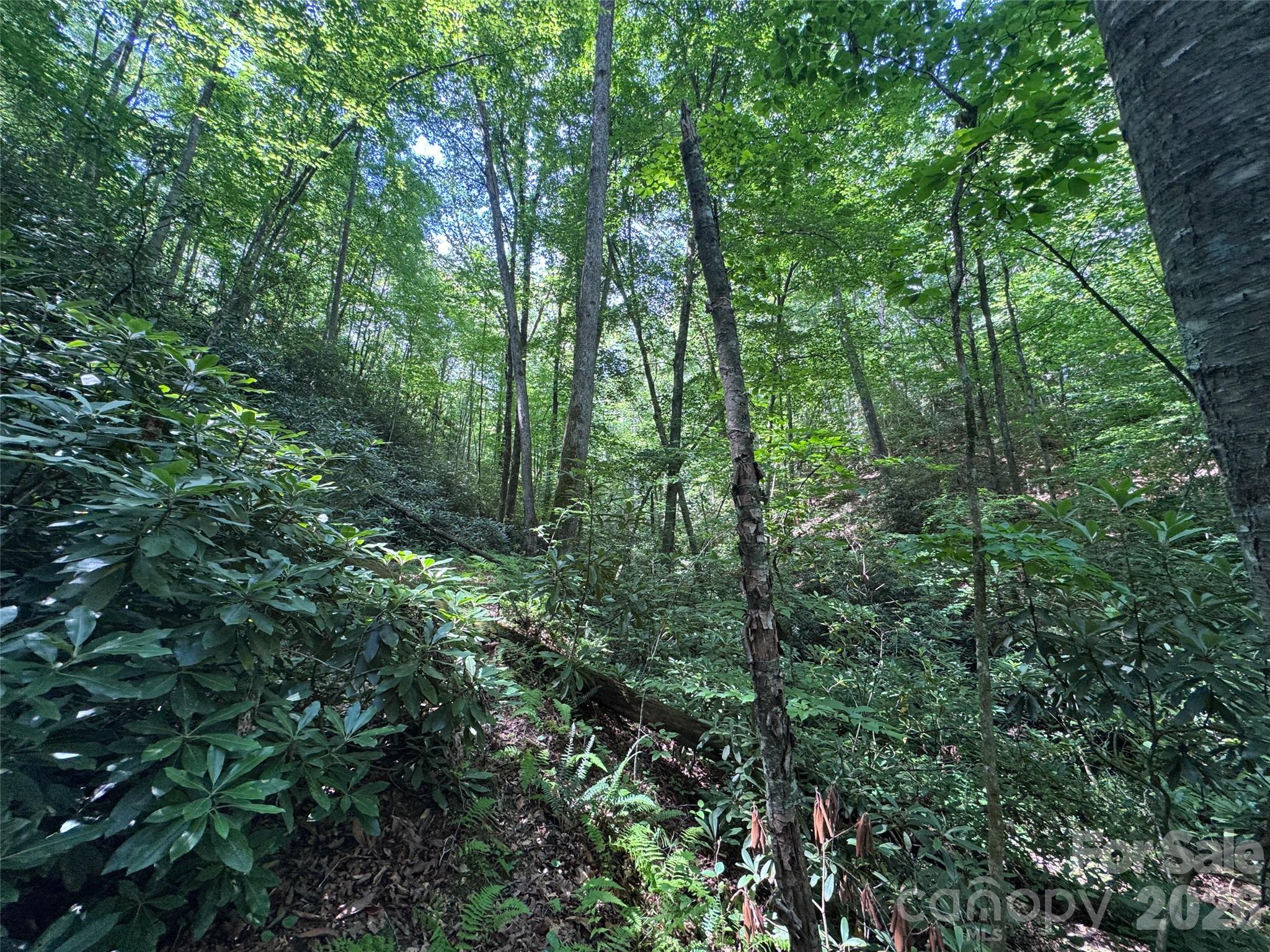 10A Reserve Road