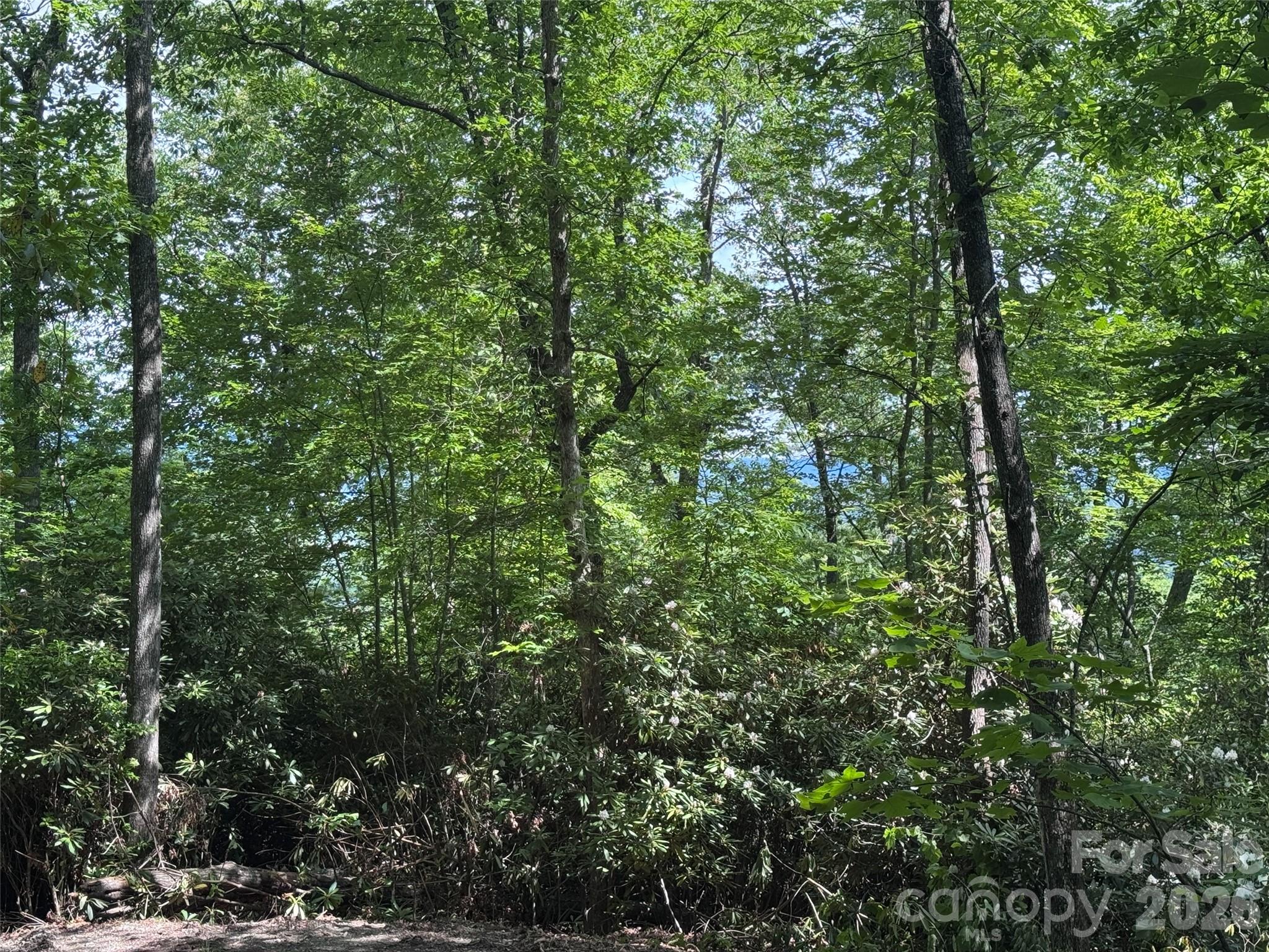 10A Reserve Road