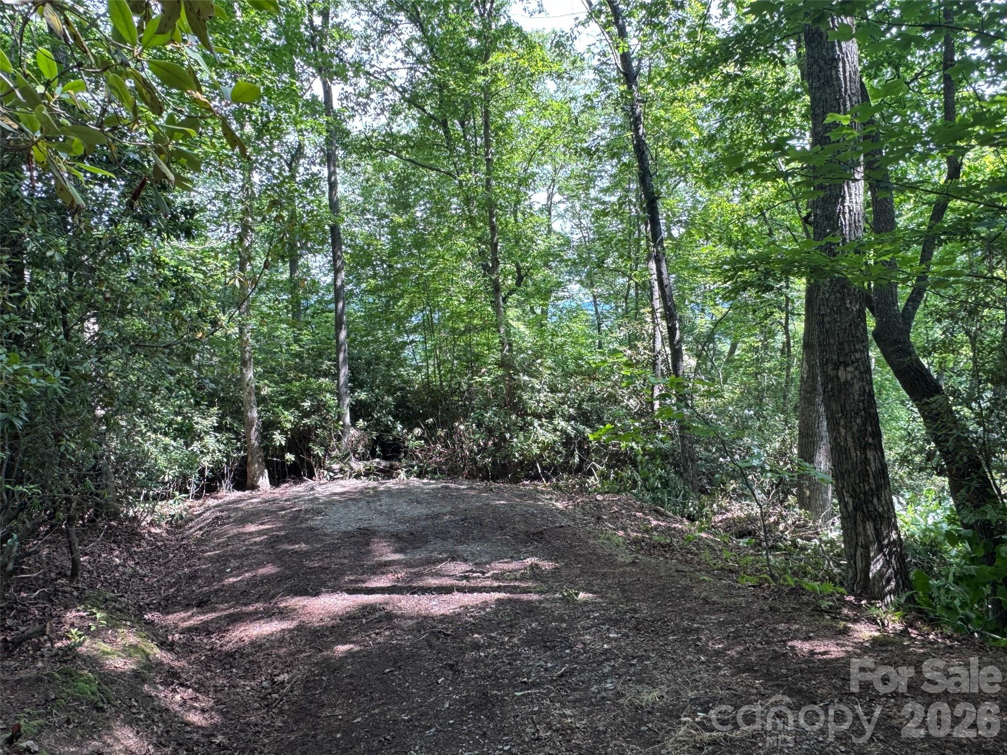 10A Reserve Road