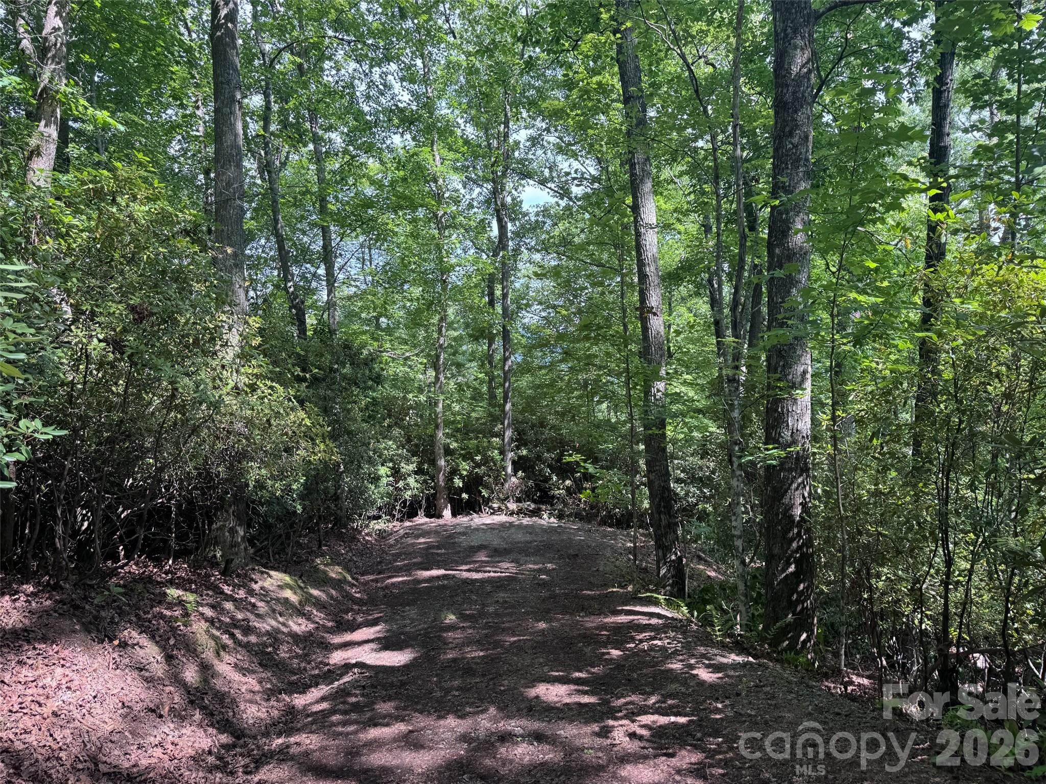 10A Reserve Road