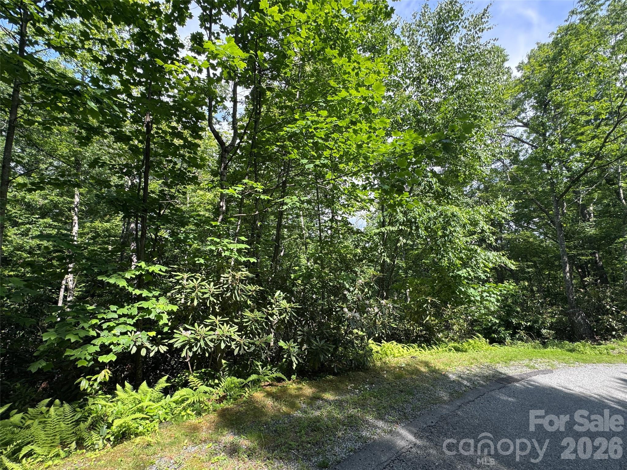 10A Reserve Road