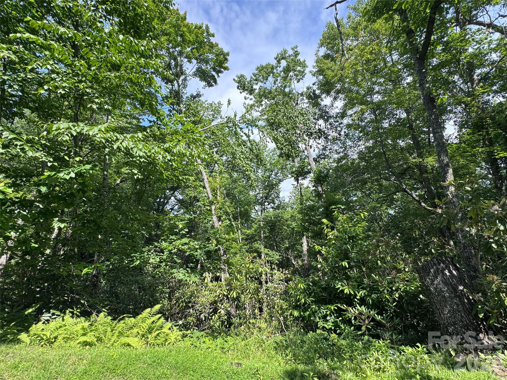 10A Reserve Road