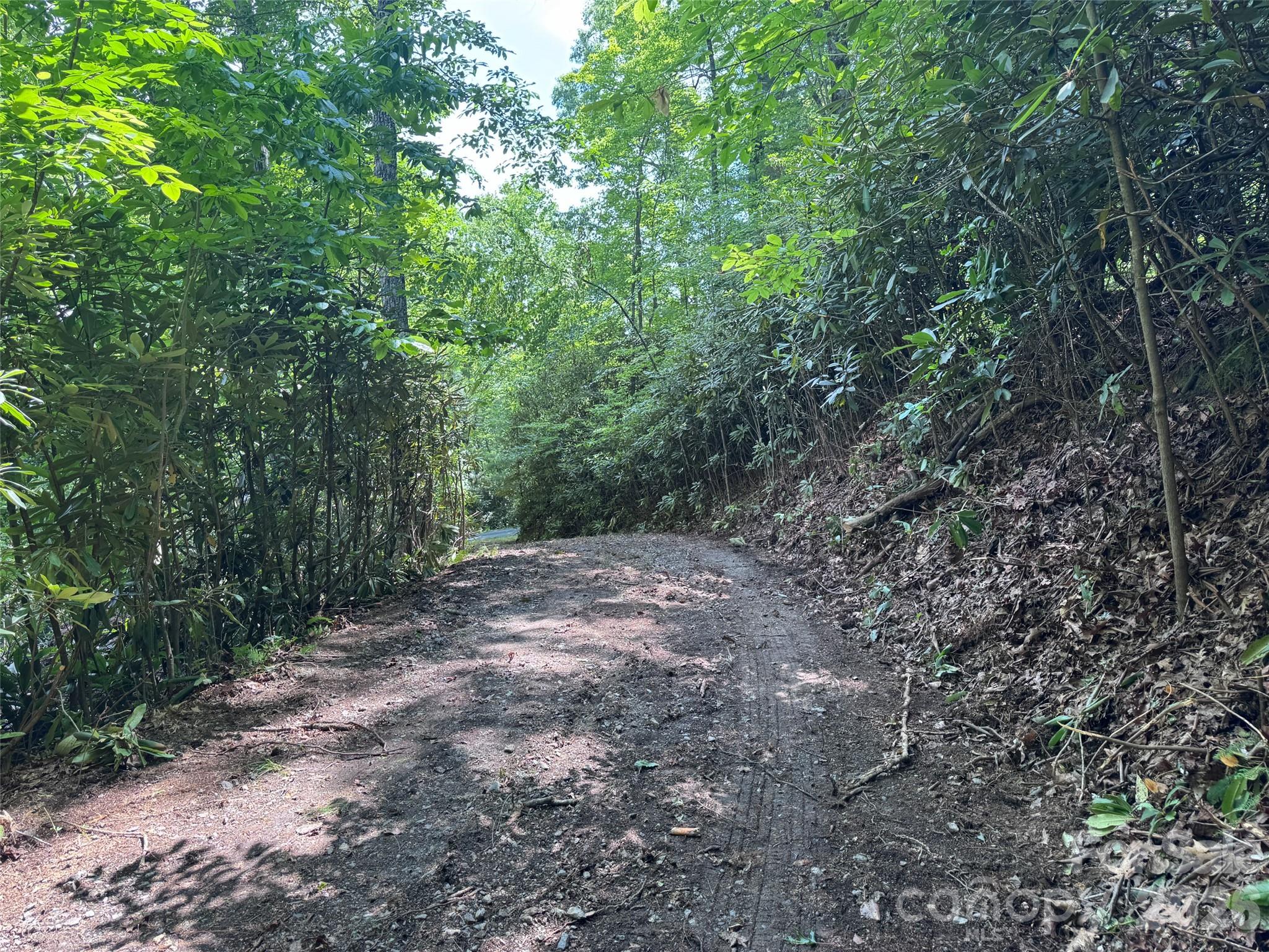10A Reserve Road