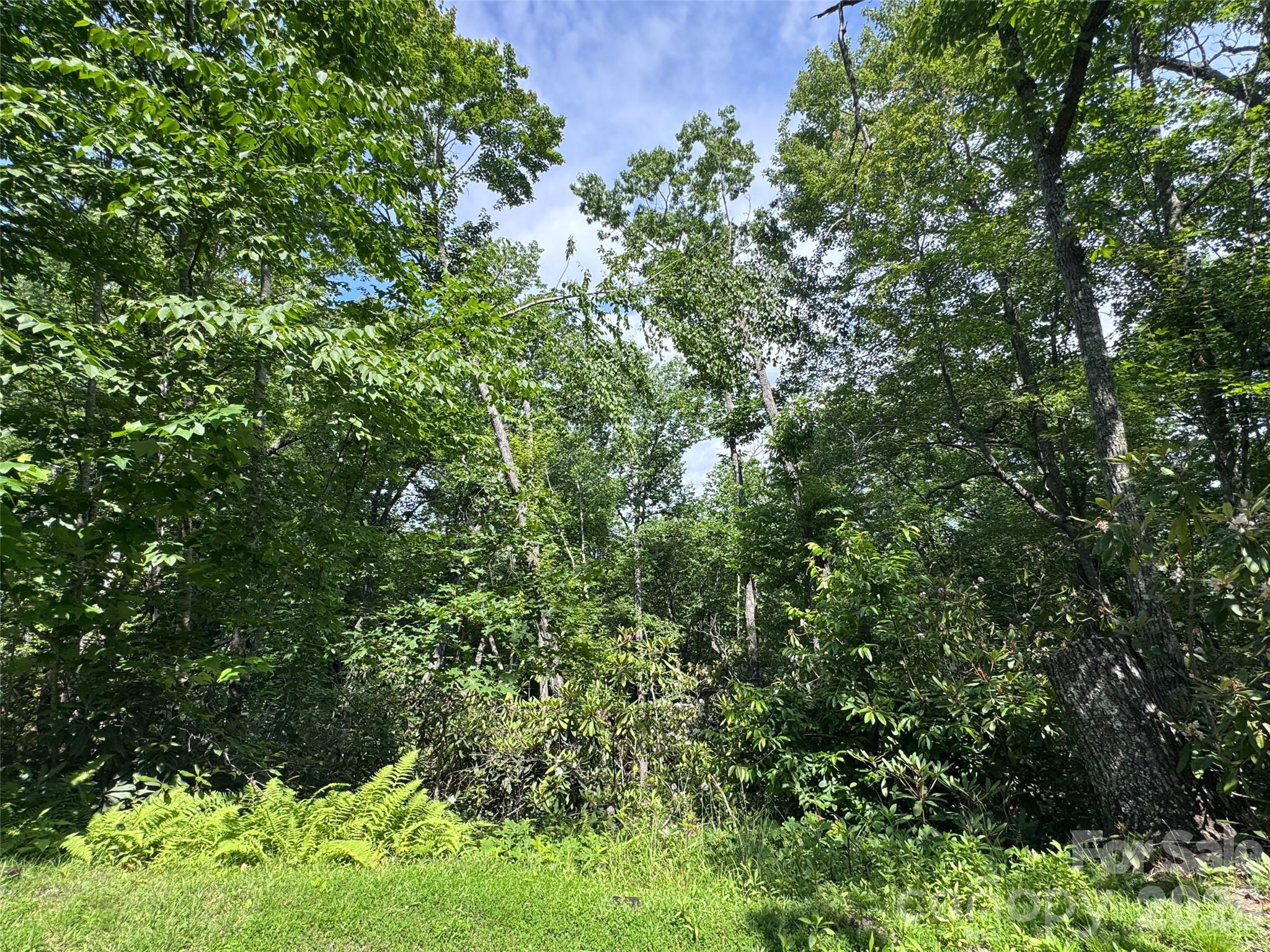 10A Reserve Road