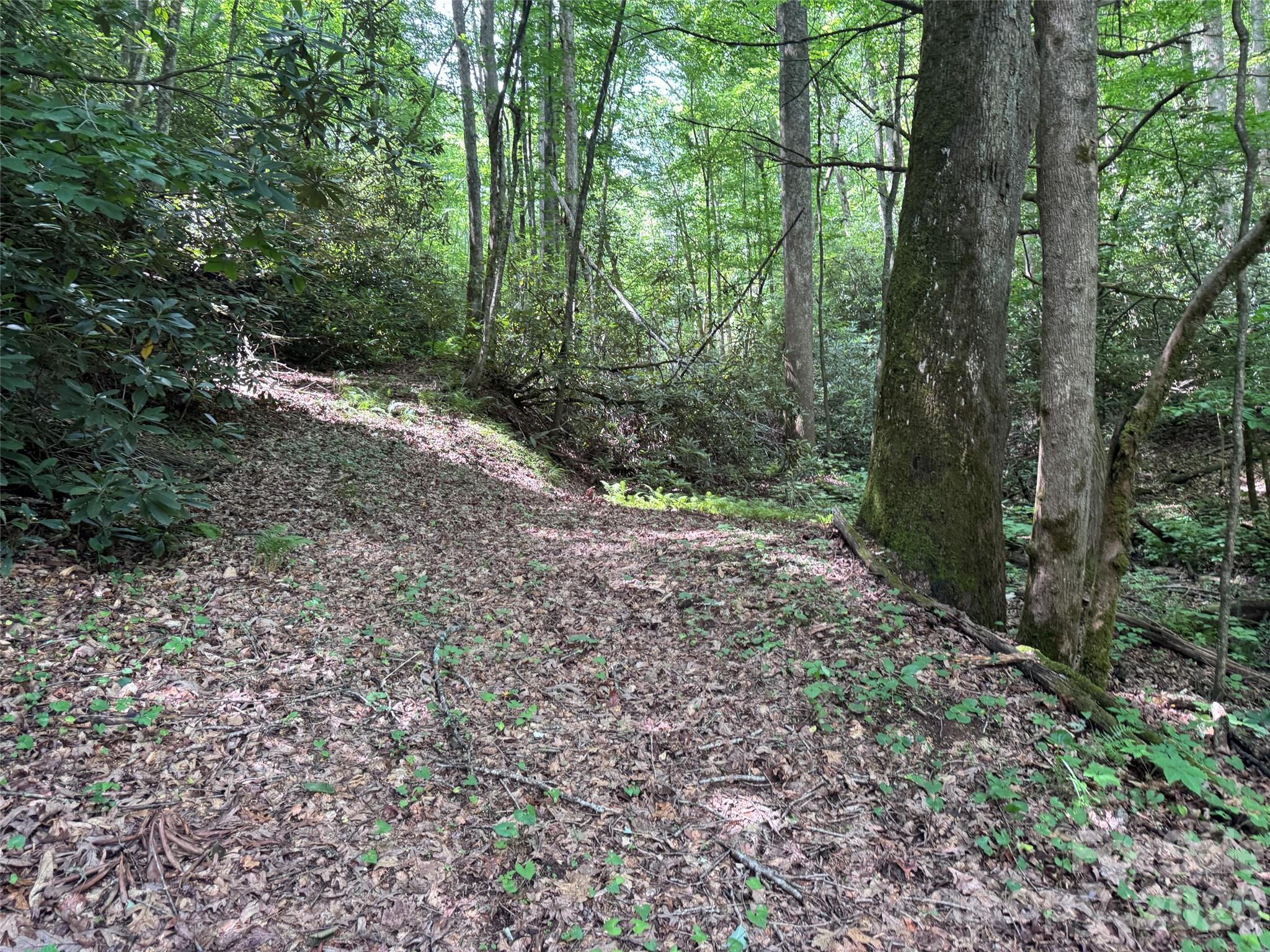 10A Reserve Road
