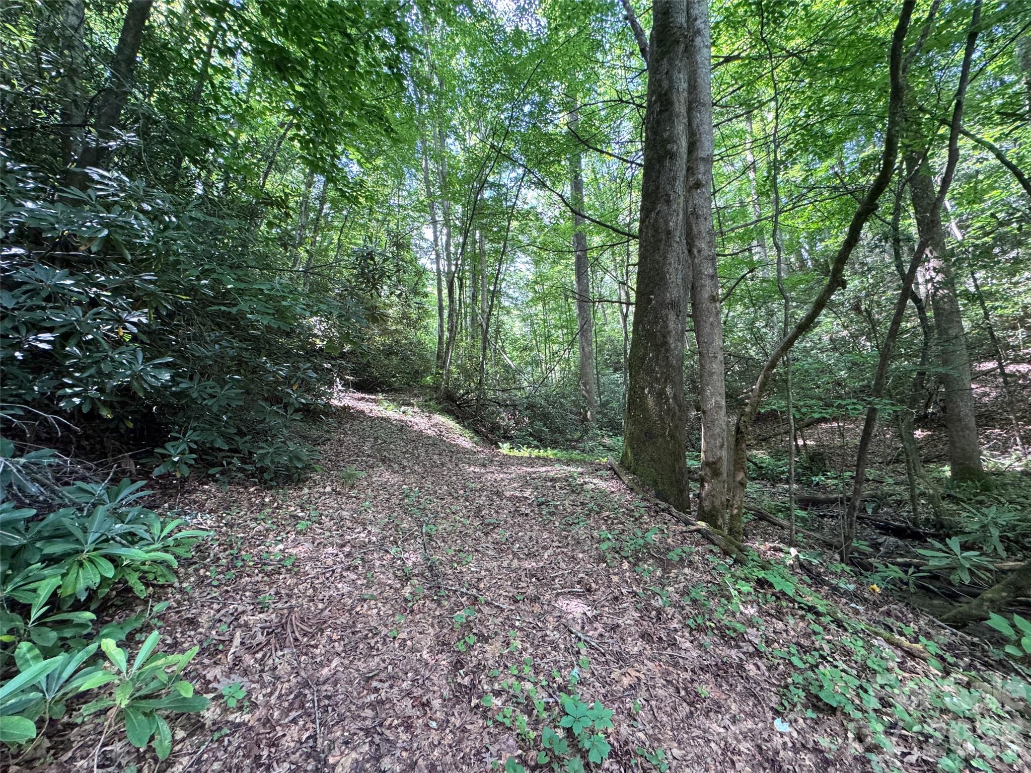 10A Reserve Road