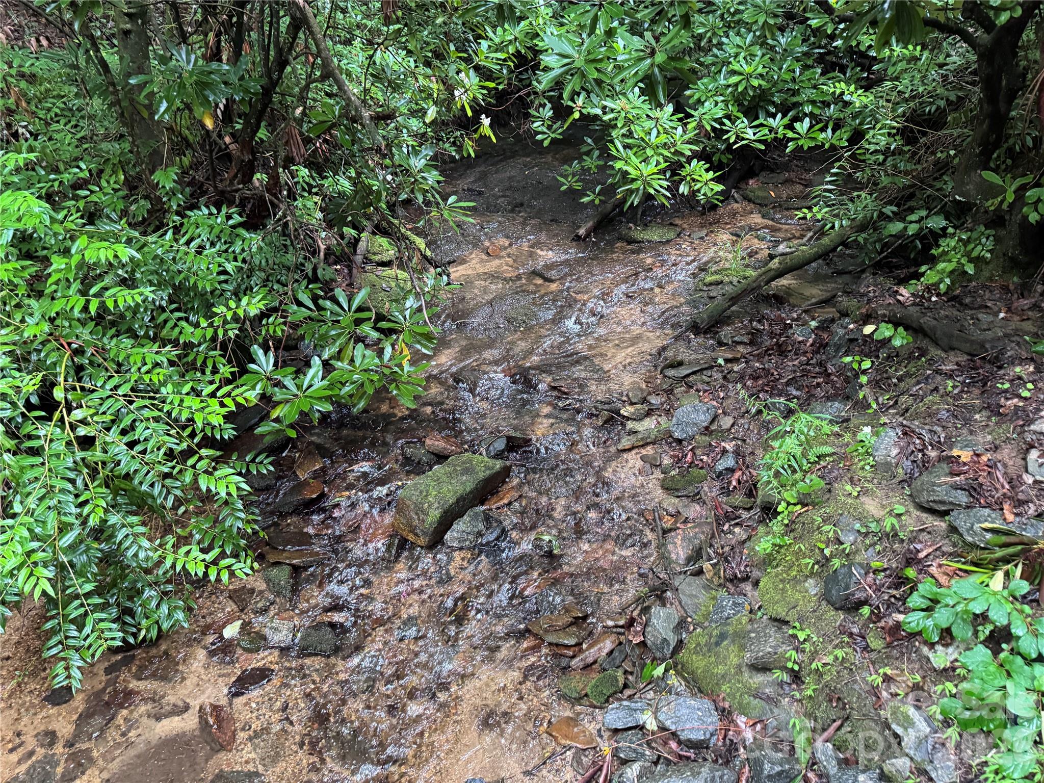 280 Laurel Creek