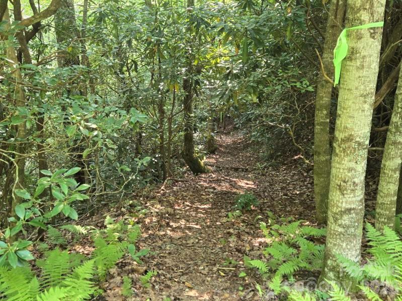 100/101 Ellicott Gap
